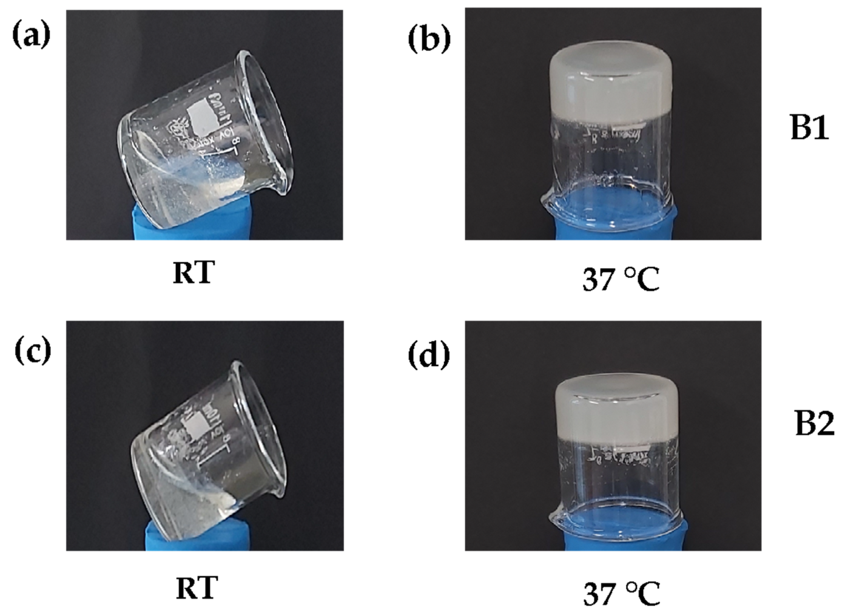 Polymers 16 02206 g004