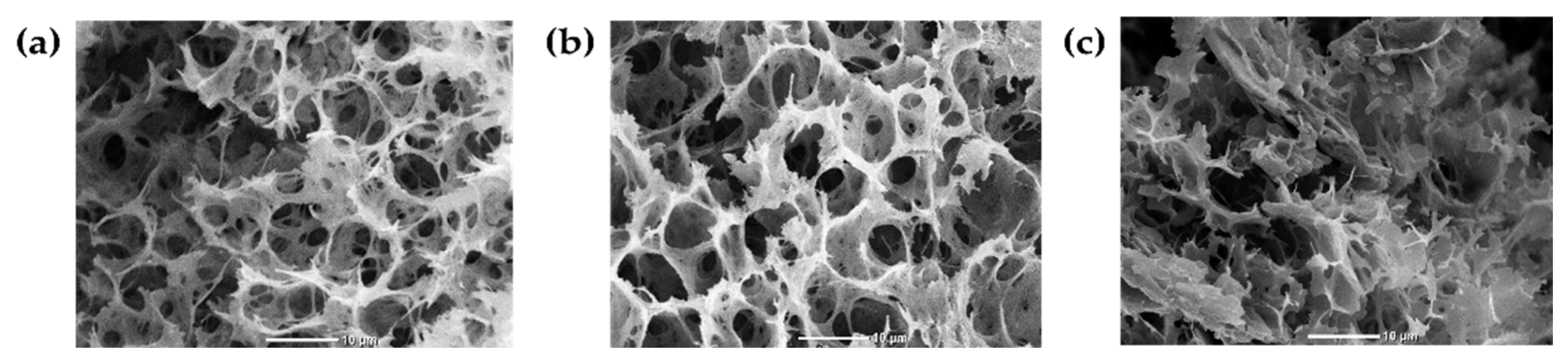 Polymers 16 02206 g005