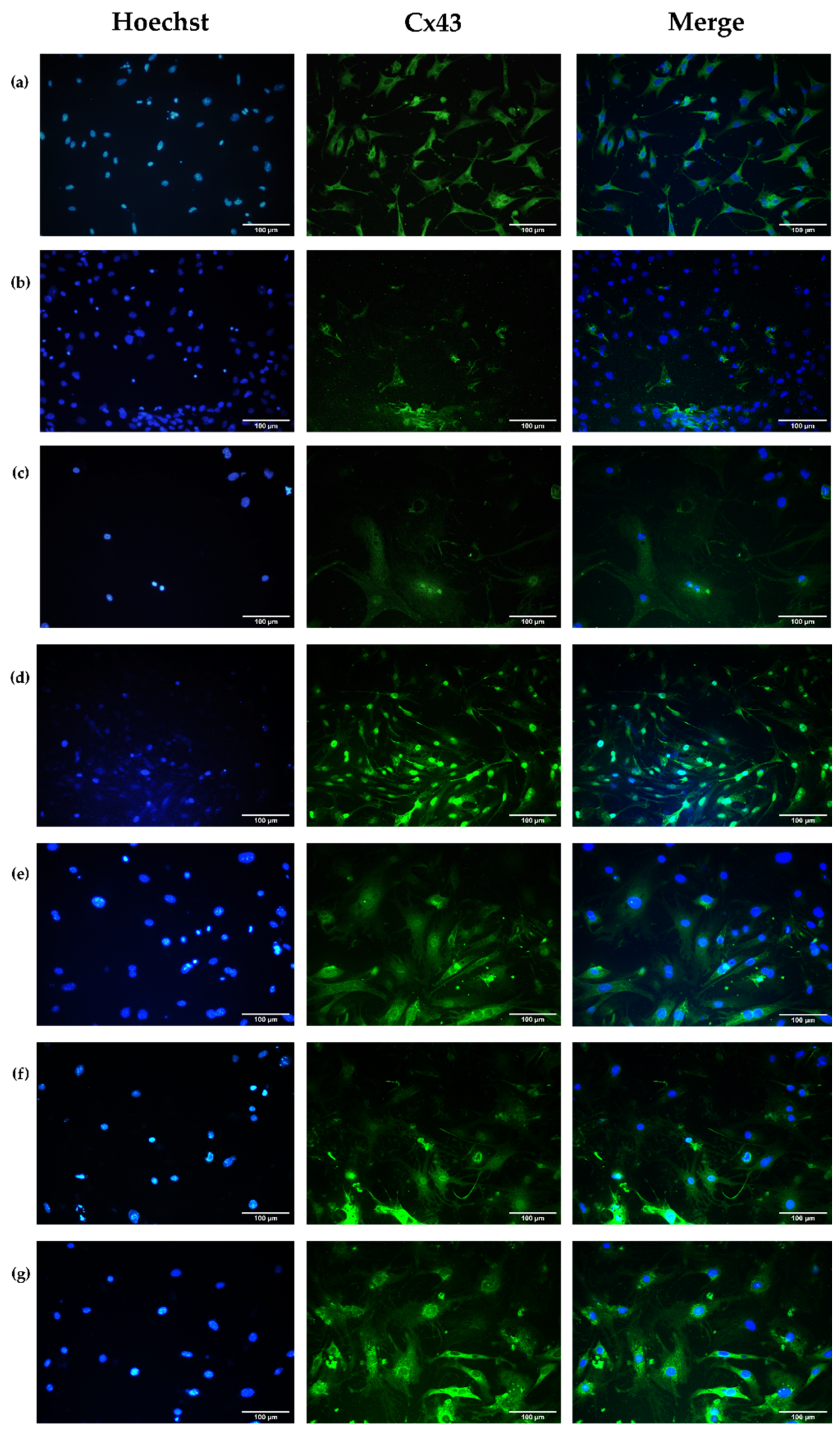 Polymers 16 02206 g012