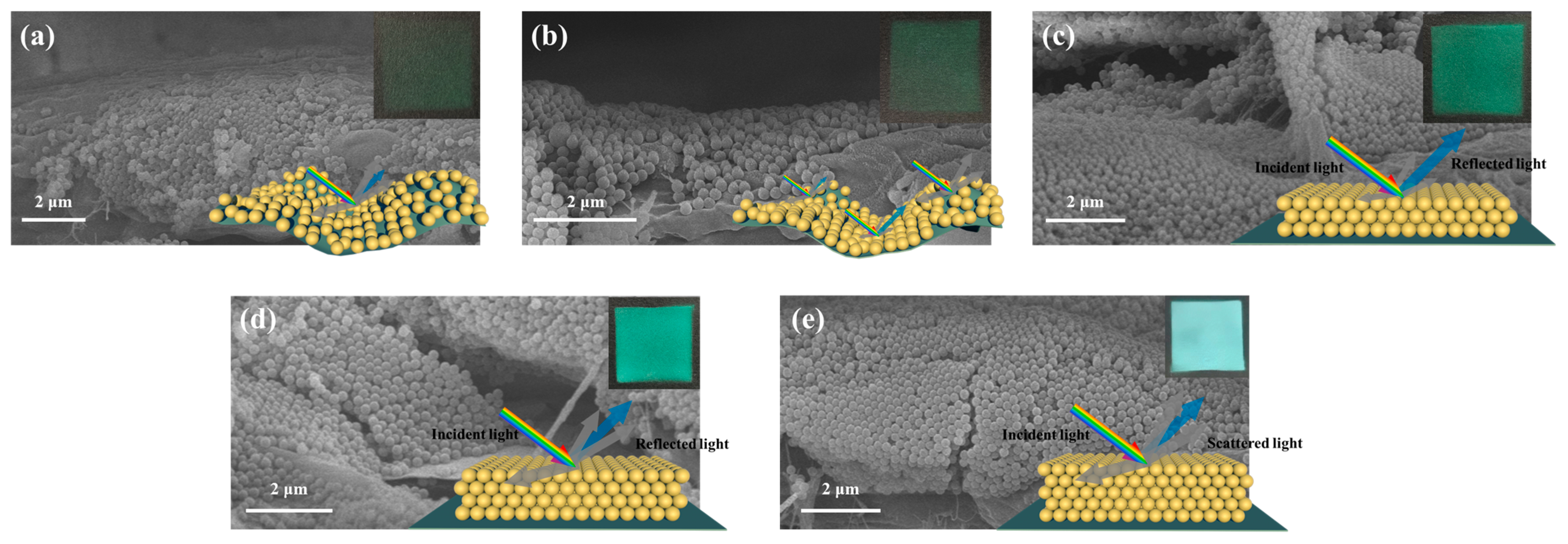 Polymers 16 02211 g006
