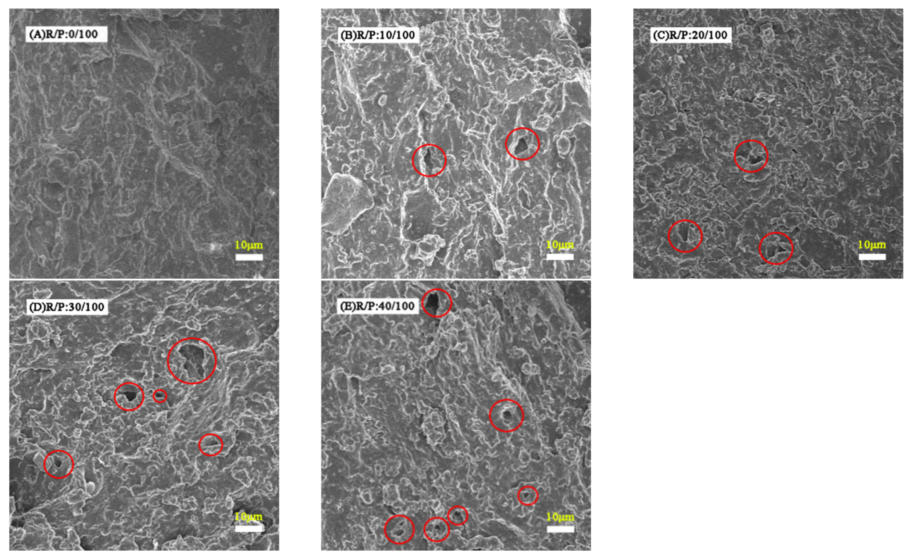 Polymers 16 02221 g006