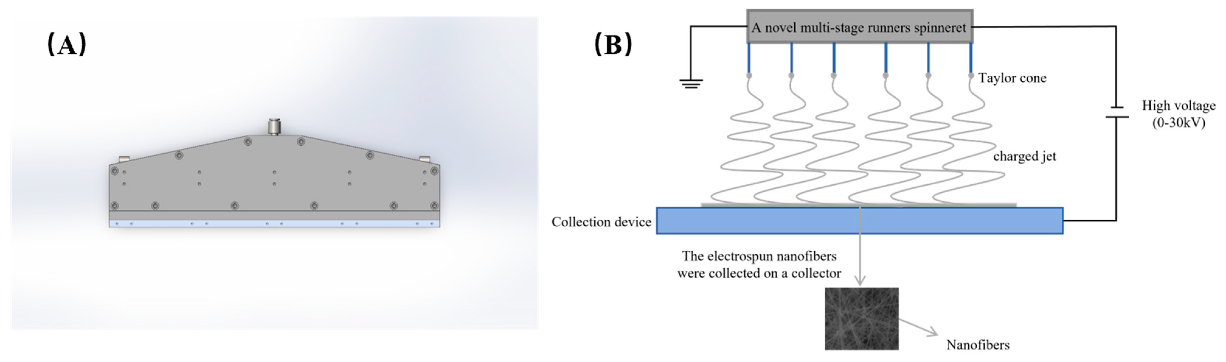 Polymers 16 02222 g004