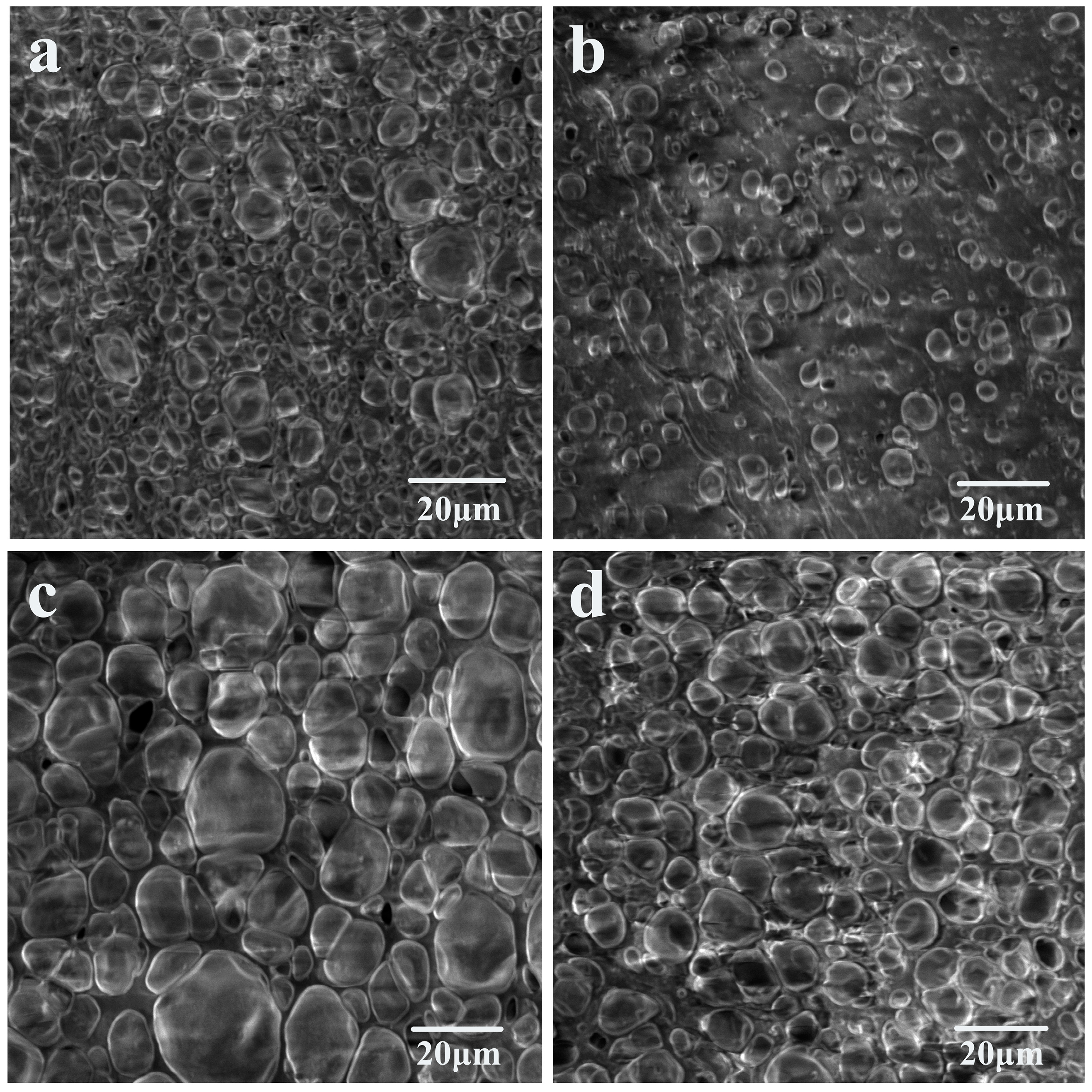 Polymers 16 02224 g003