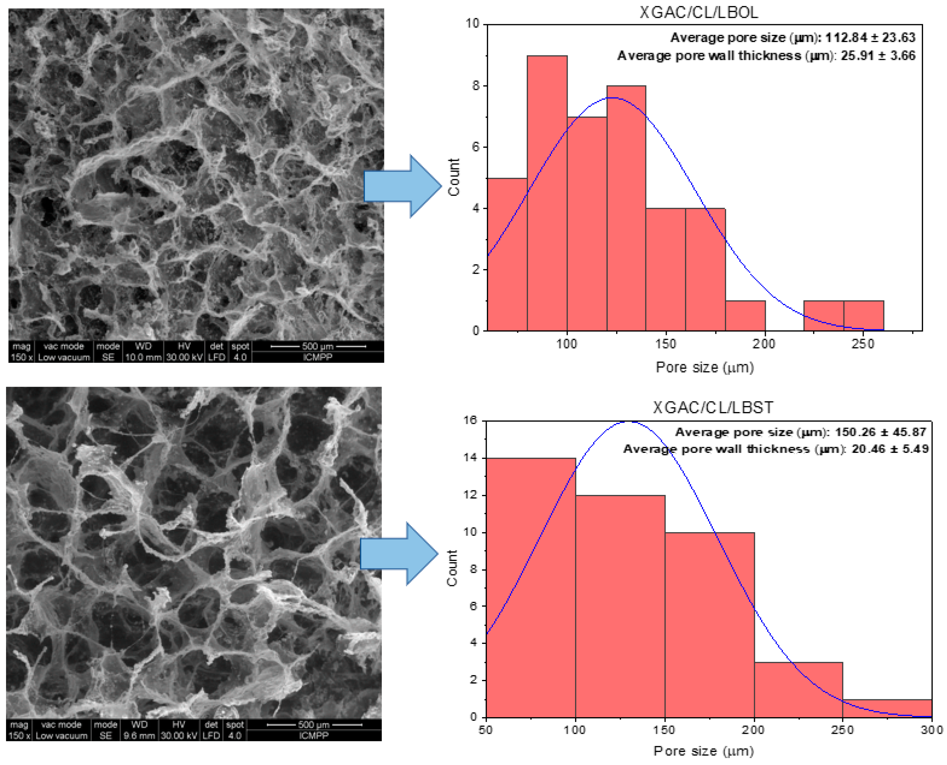 Polymers 16 02225 g004b Polymers 16 02225 g004b