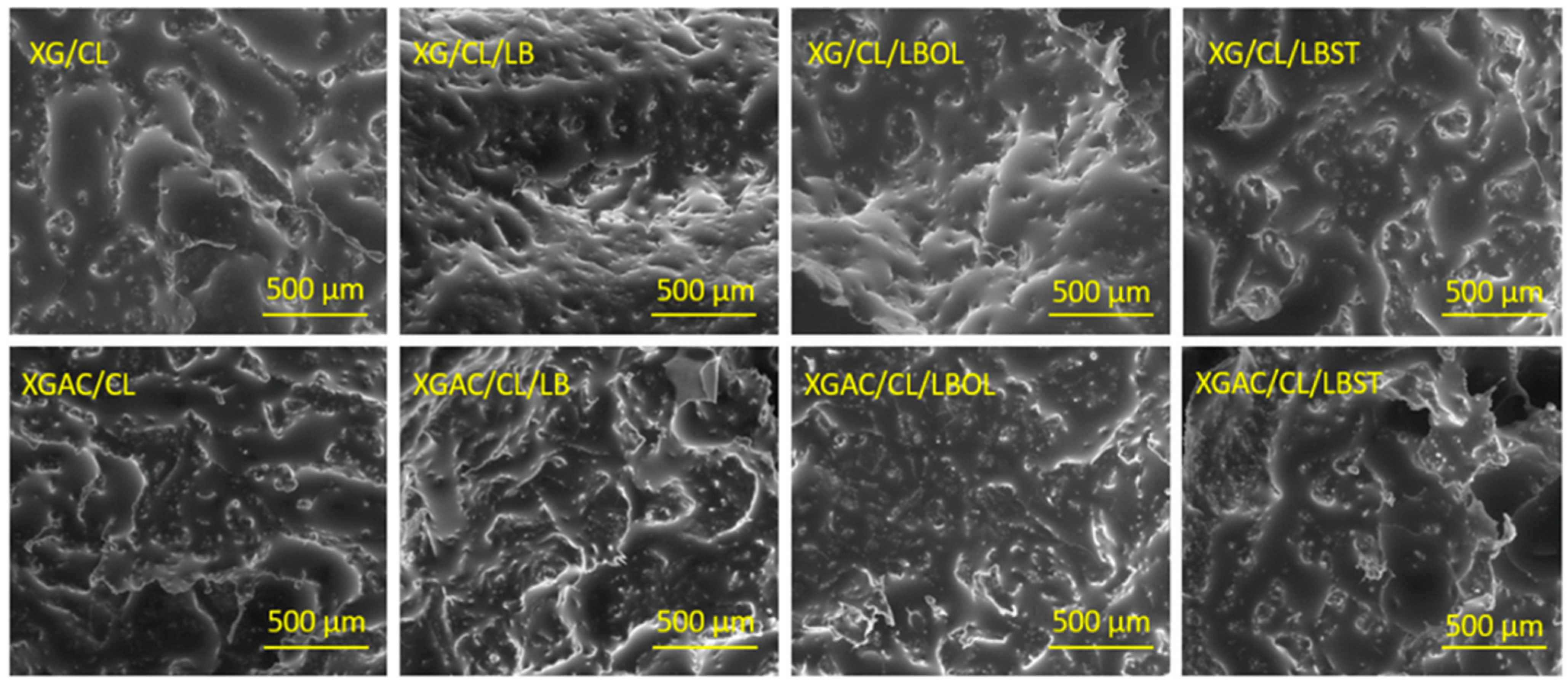 Polymers 16 02225 g007 Polymers 16 02225 g007