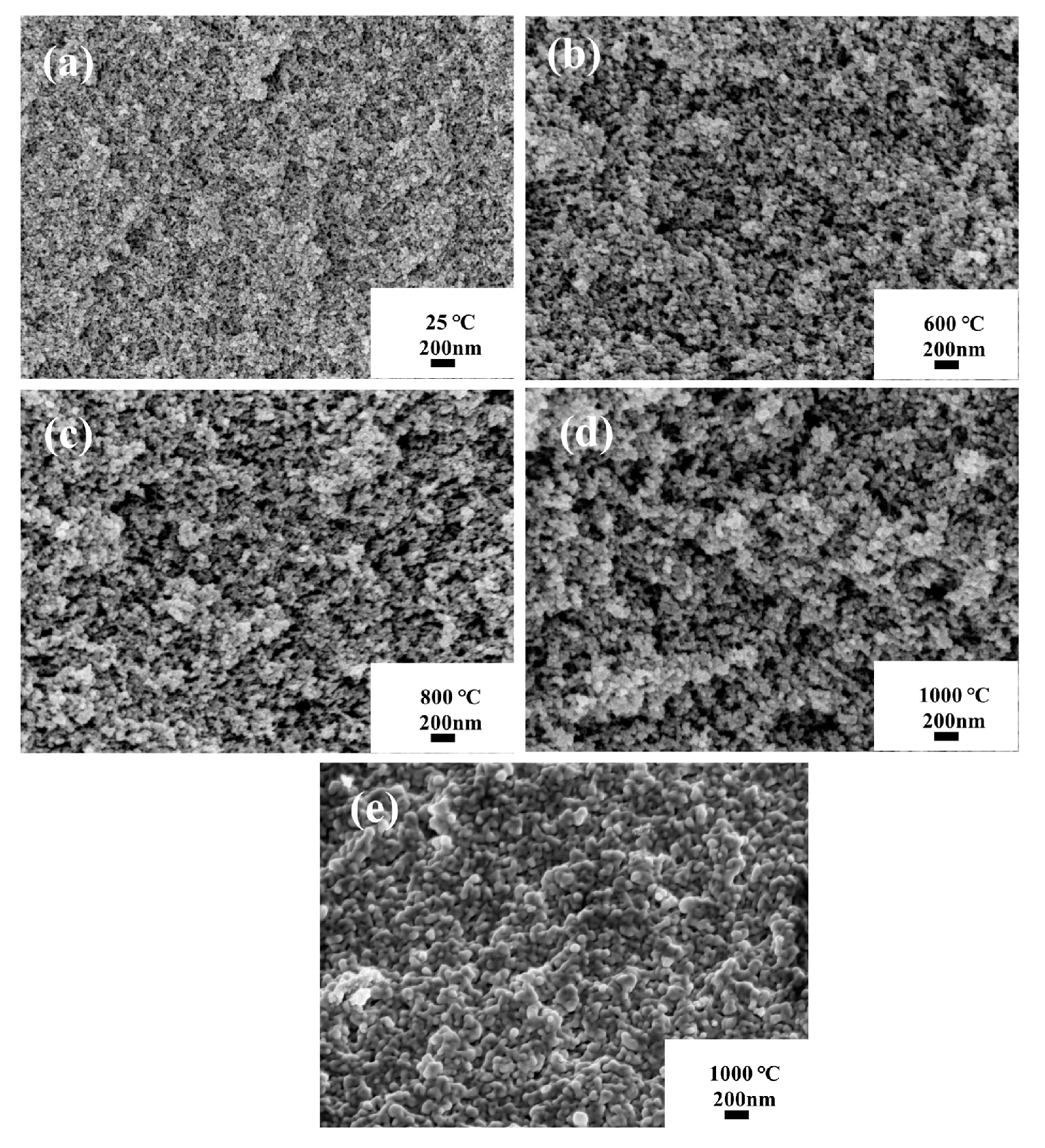 Polymers 16 02296 g010