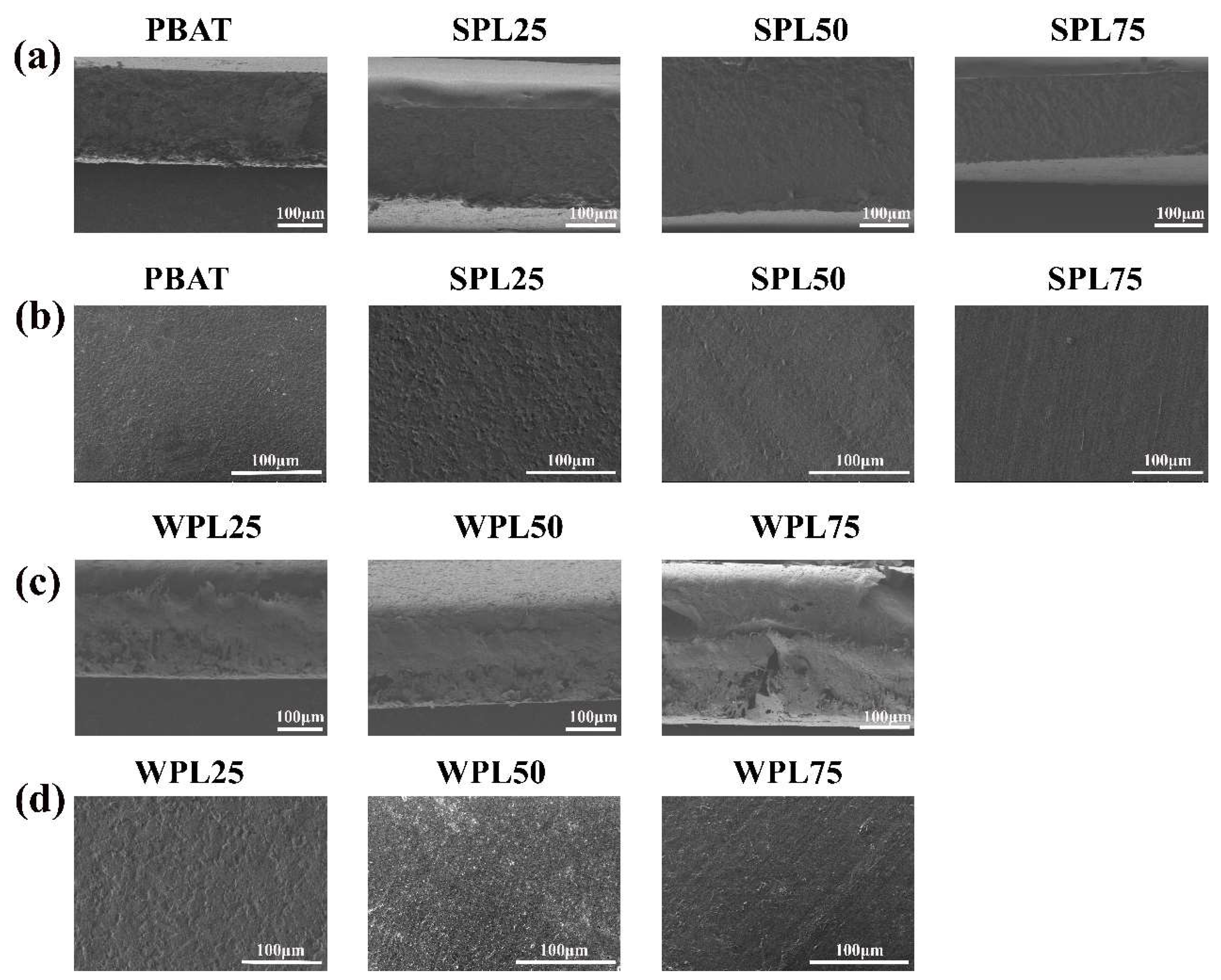 Polymers 16 02312 g004