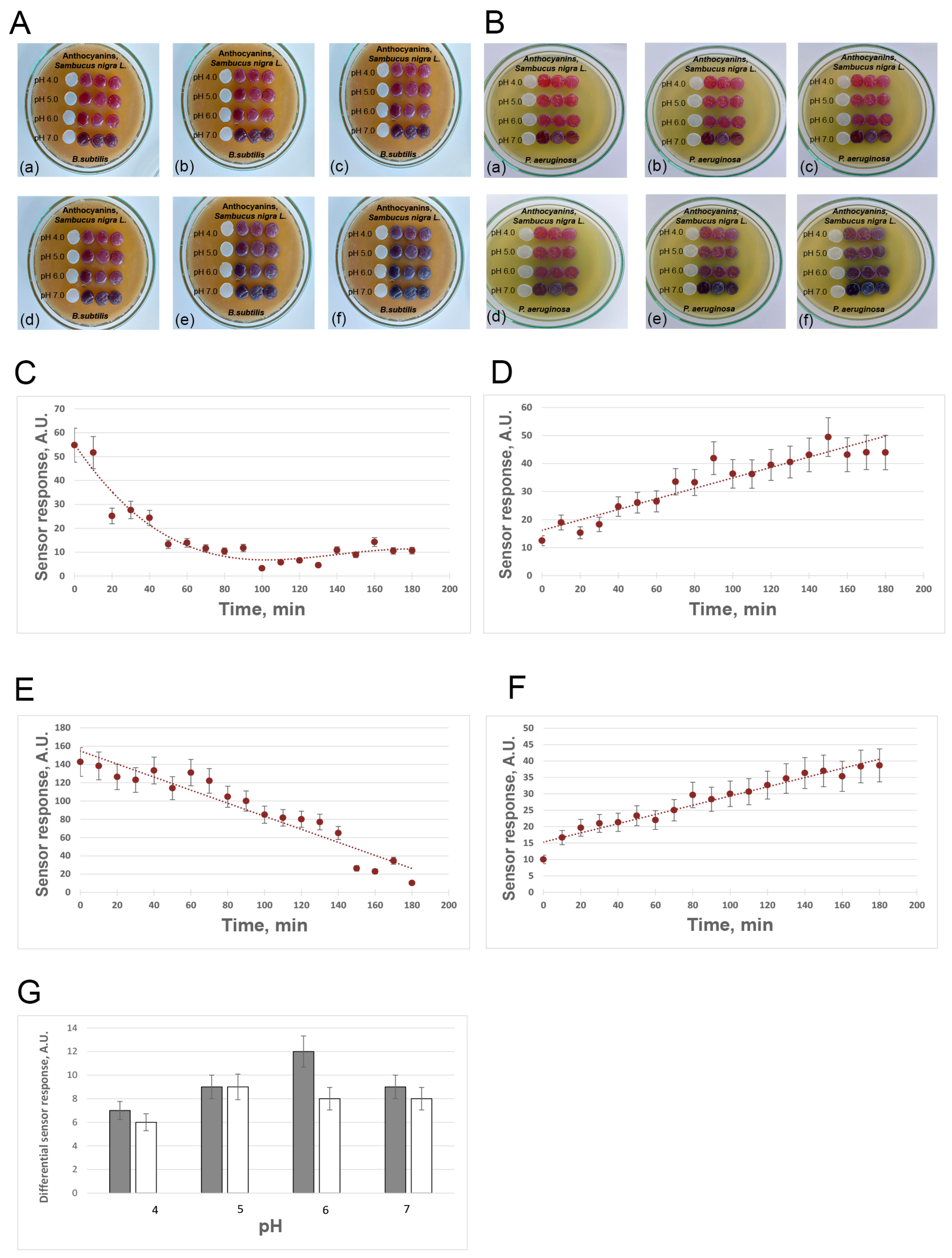 Polymers 16 02327 g002