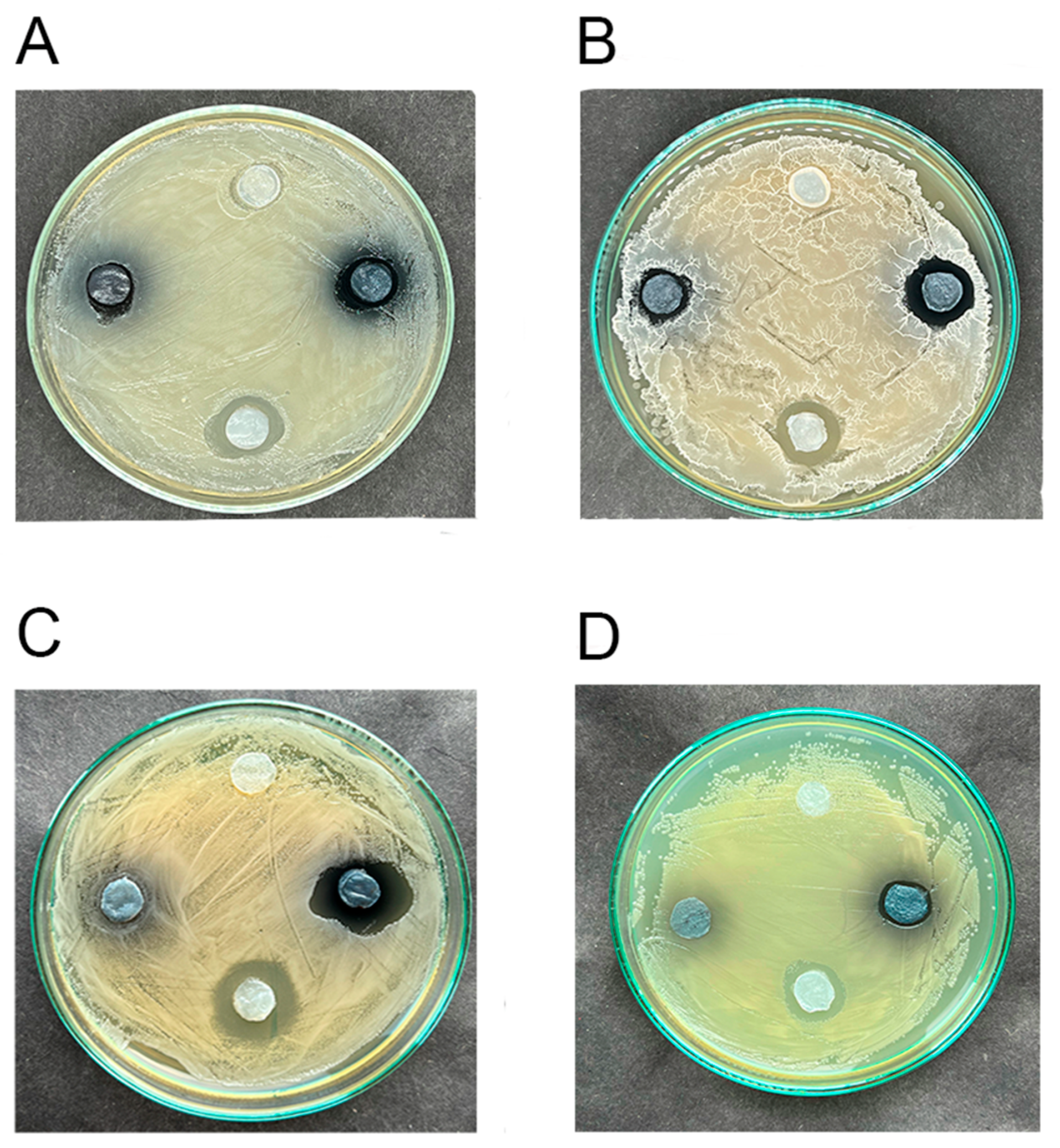 Polymers 16 02327 g003