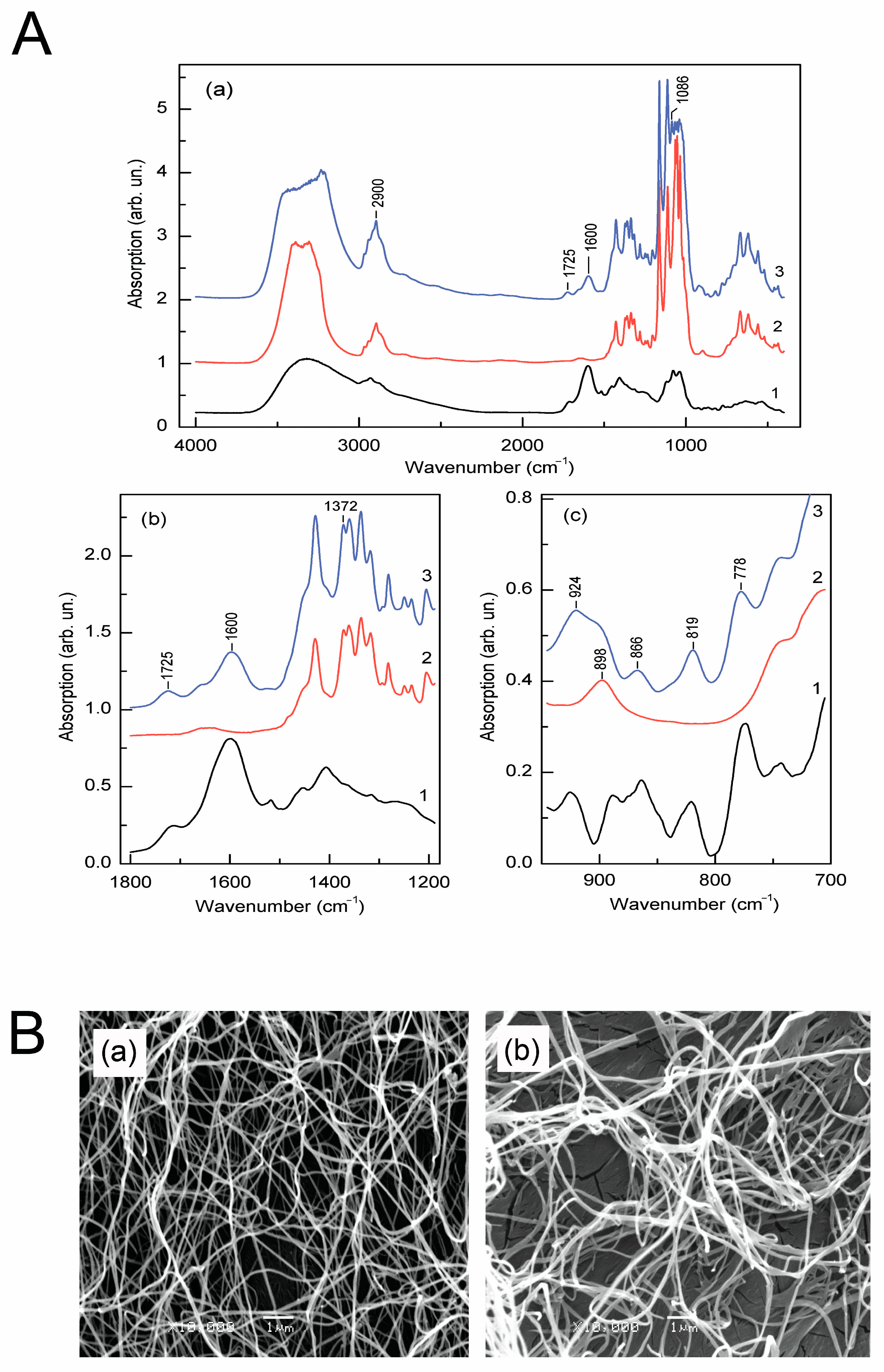 Polymers 16 02327 g004