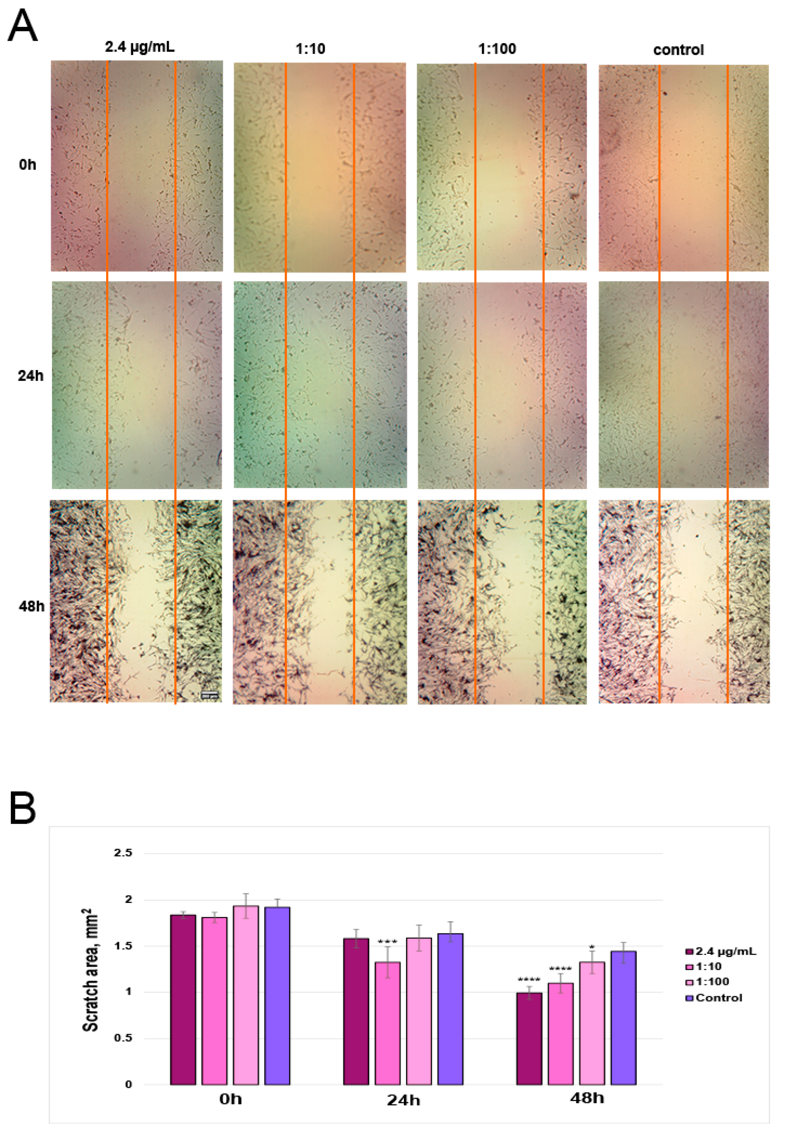 Polymers 16 02327 g006