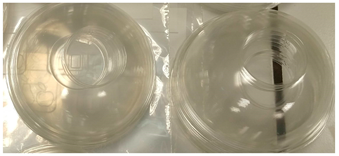 Polymers 16 02343 i001