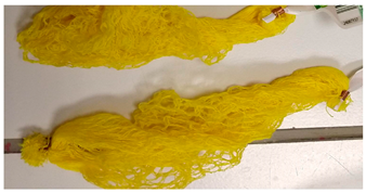 Polymers 16 02343 i002