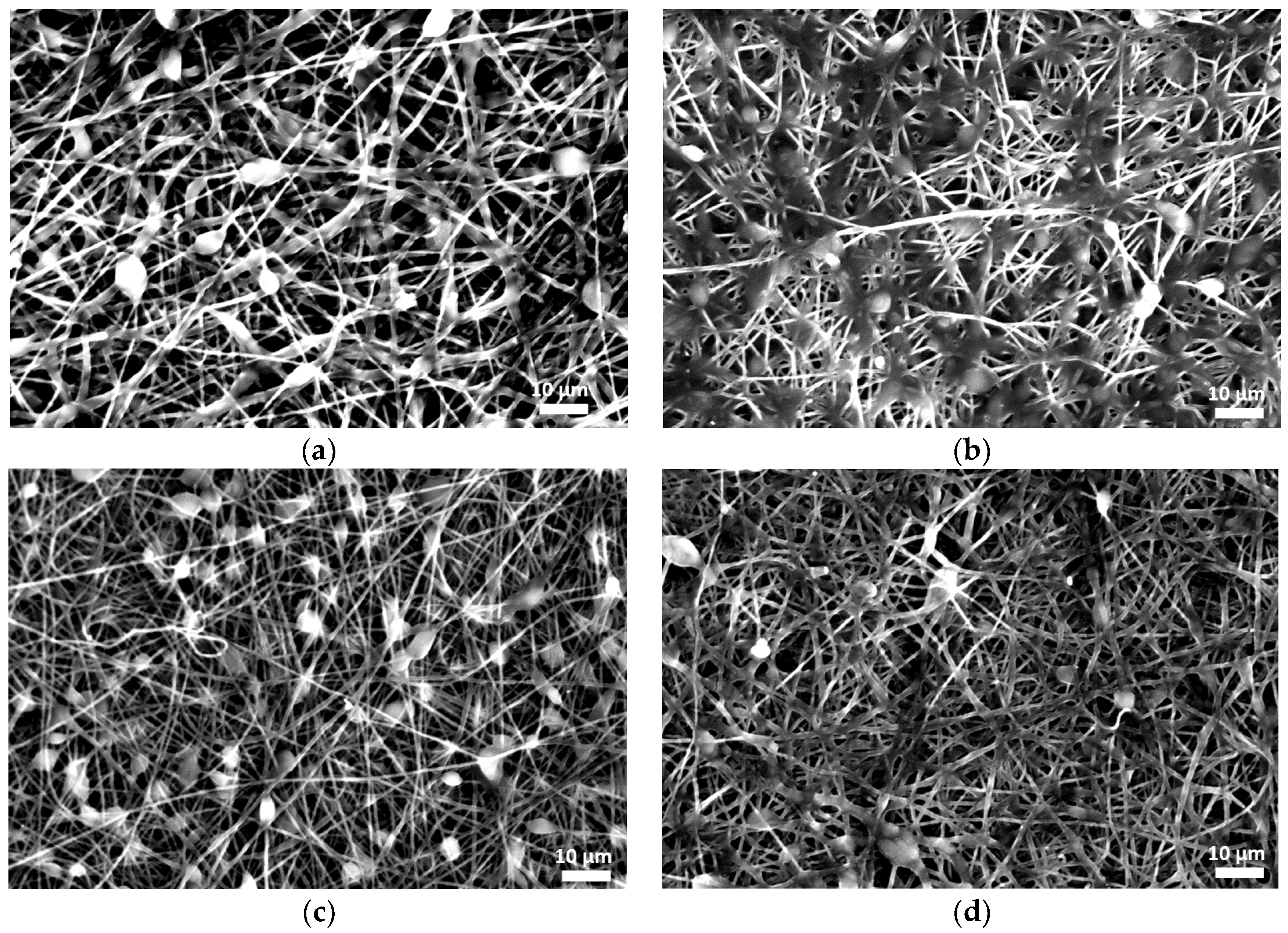 Polymers 16 02346 g002
