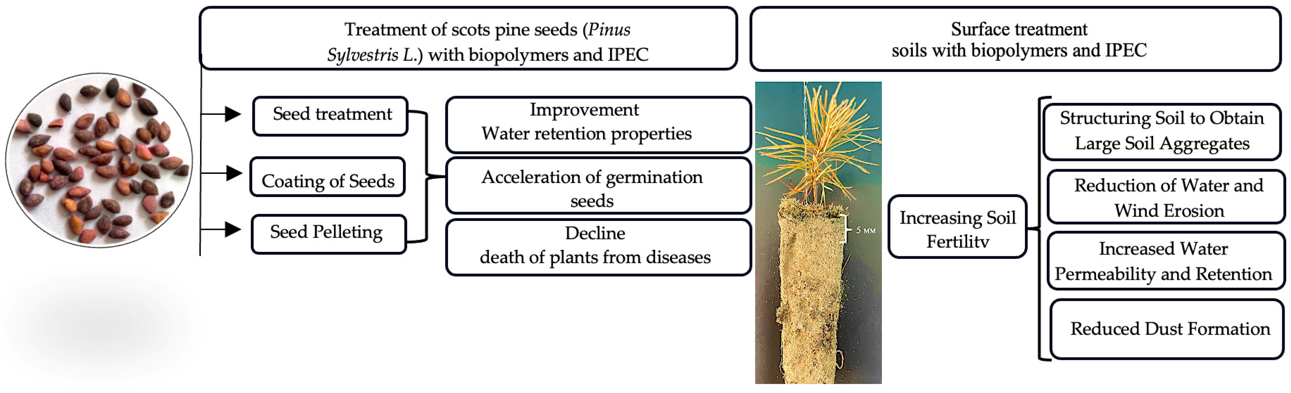 Polymers 16 02373 g001