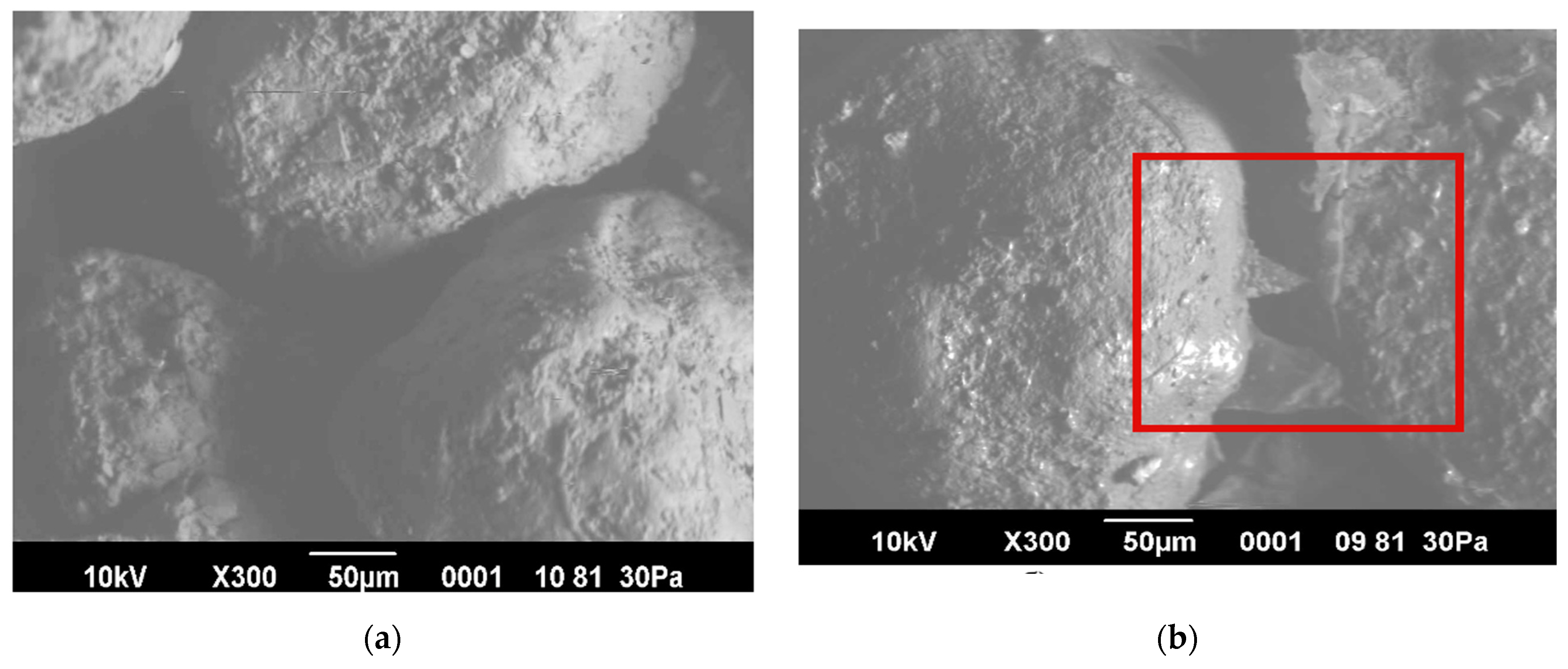 Polymers 16 02373 g009