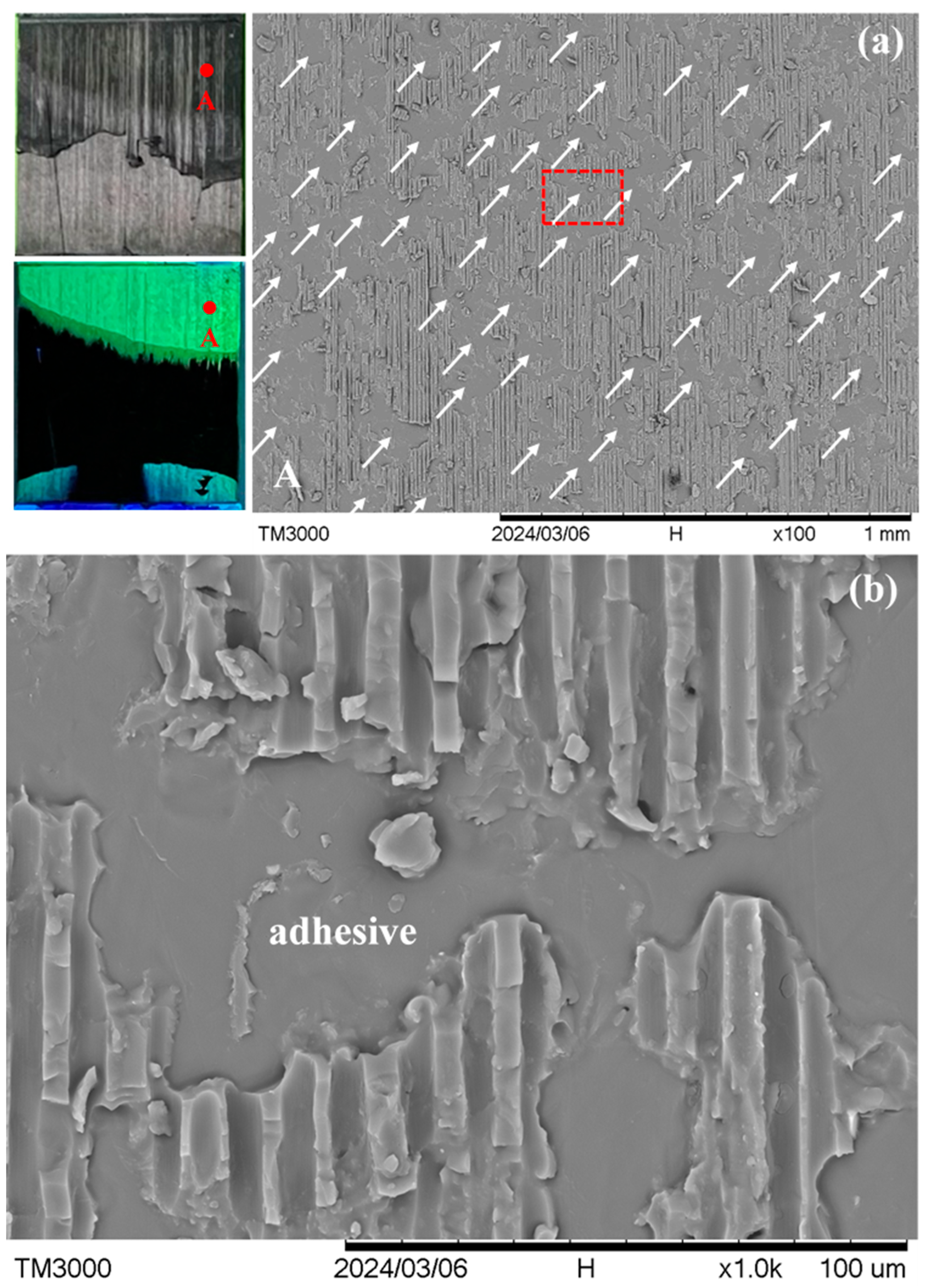 Polymers 16 02374 g006