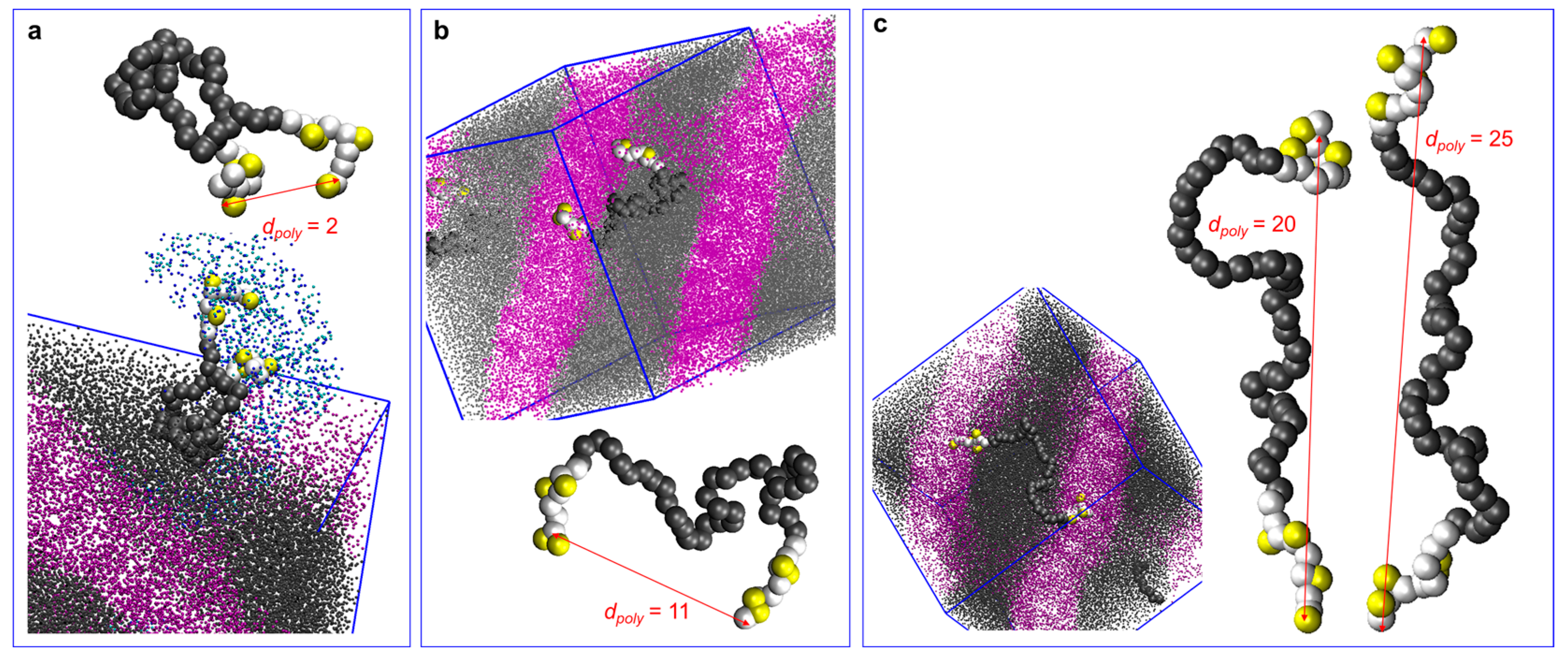 Polymers 16 02382 g006