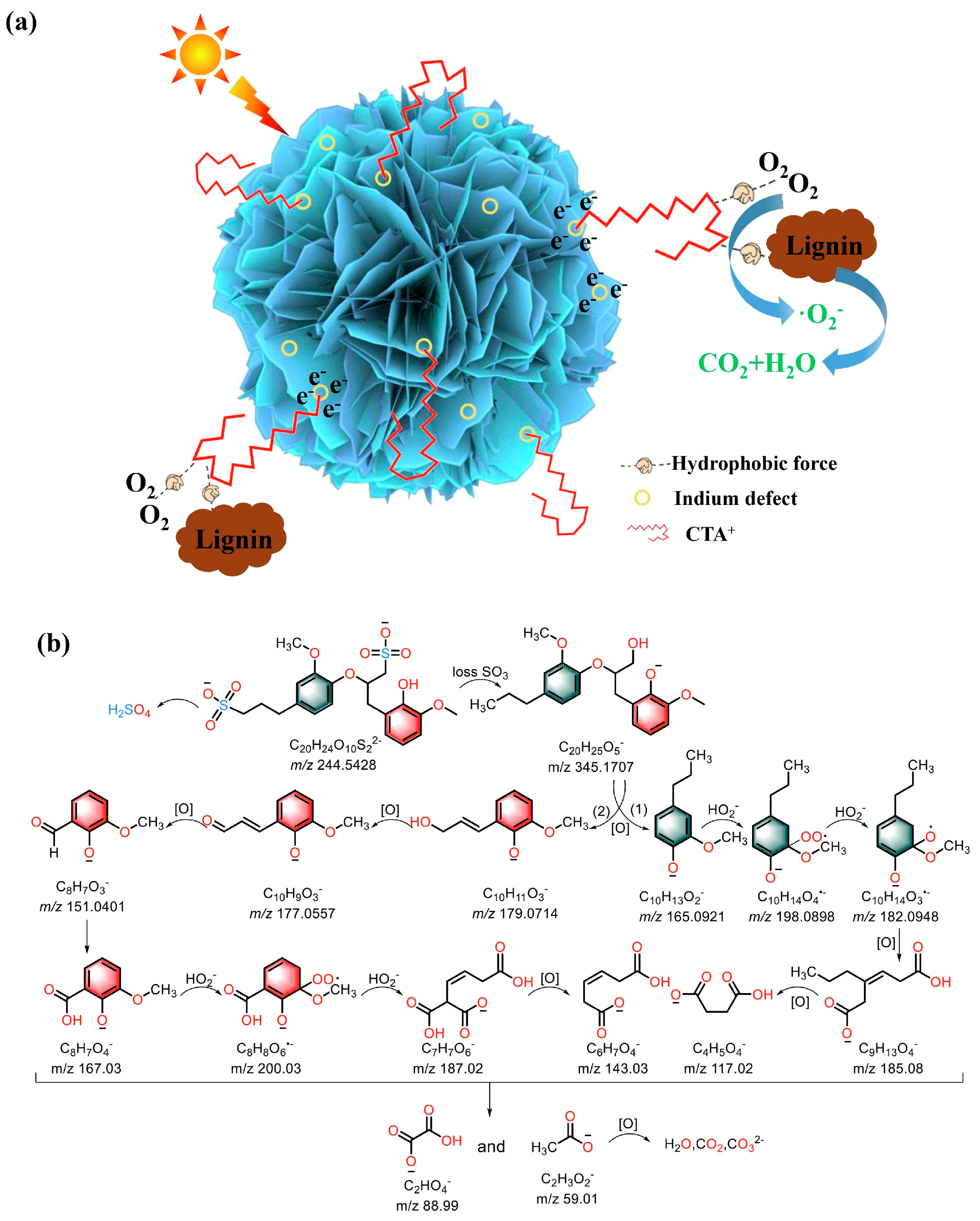 Polymers 16 02388 g005