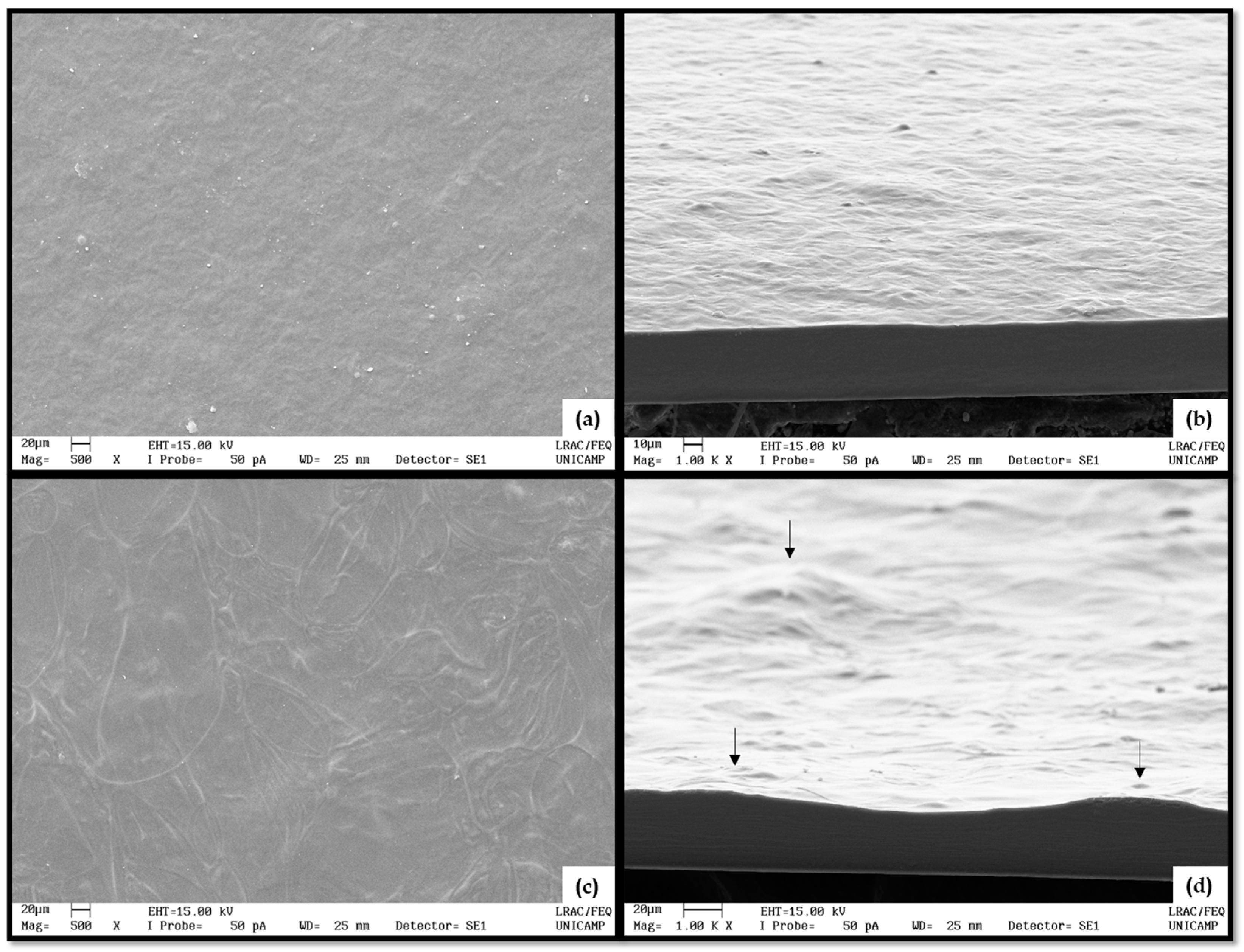 Polymers 16 02390 g004 Polymers 16 02390 g004