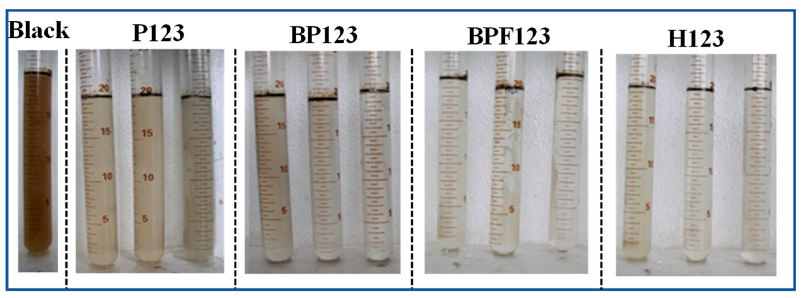 Polymers 16 02392 g002
