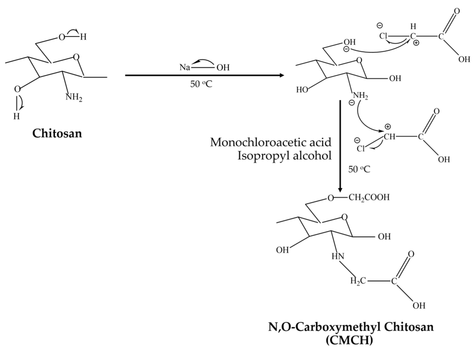 Polymers 16 02393 g001