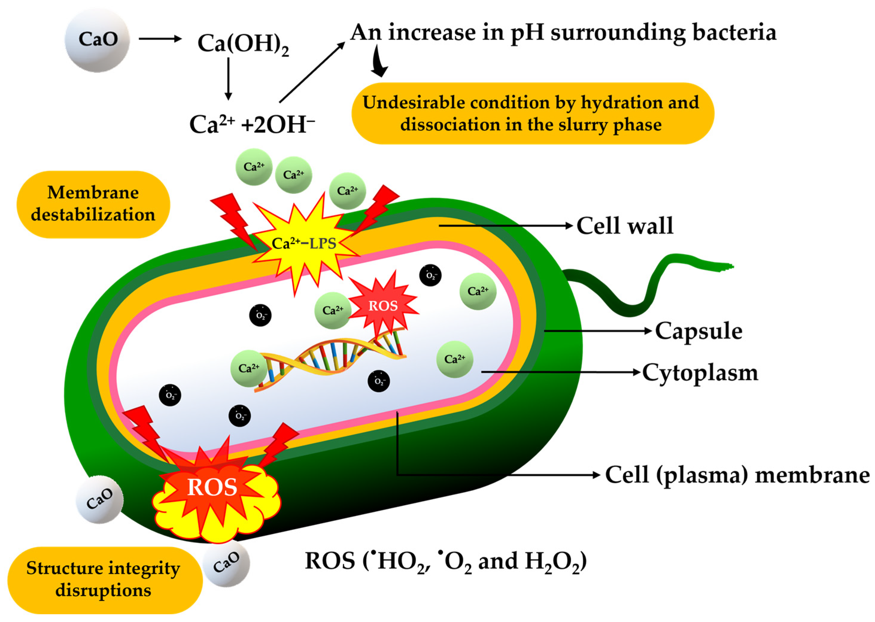 Polymers 16 02393 g010