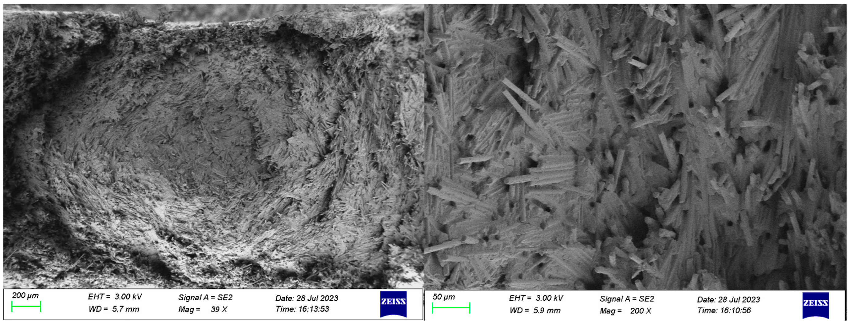 Polymers 16 02395 g009