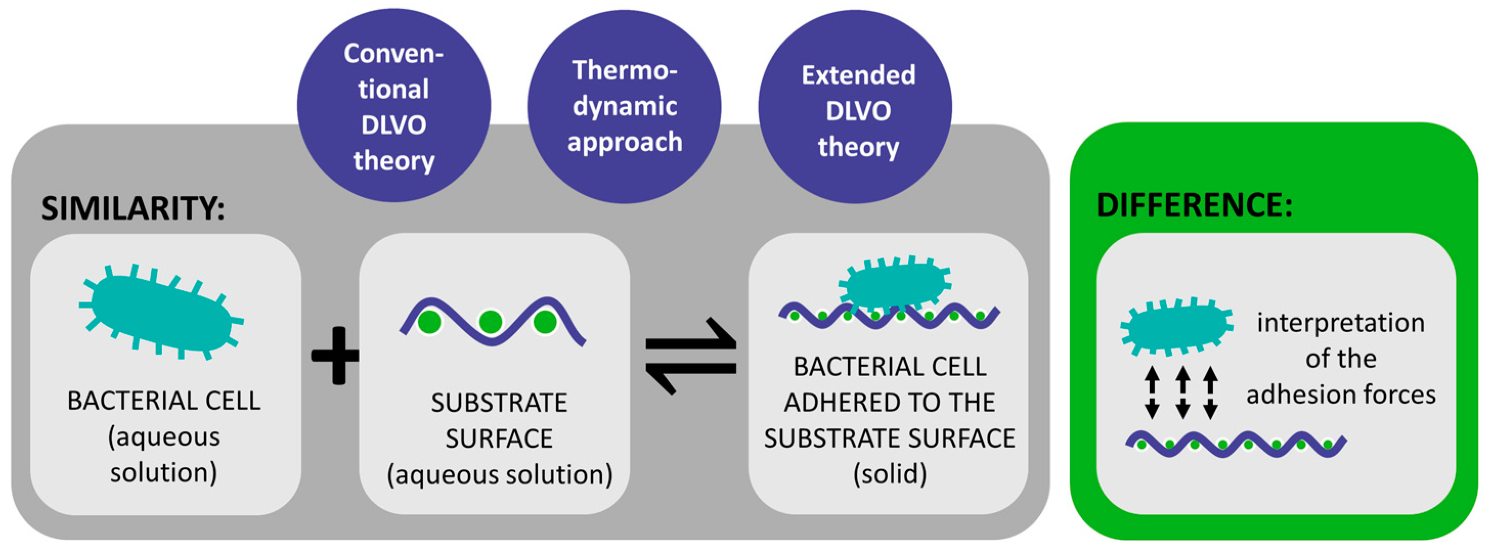 Polymers 16 02409 g004