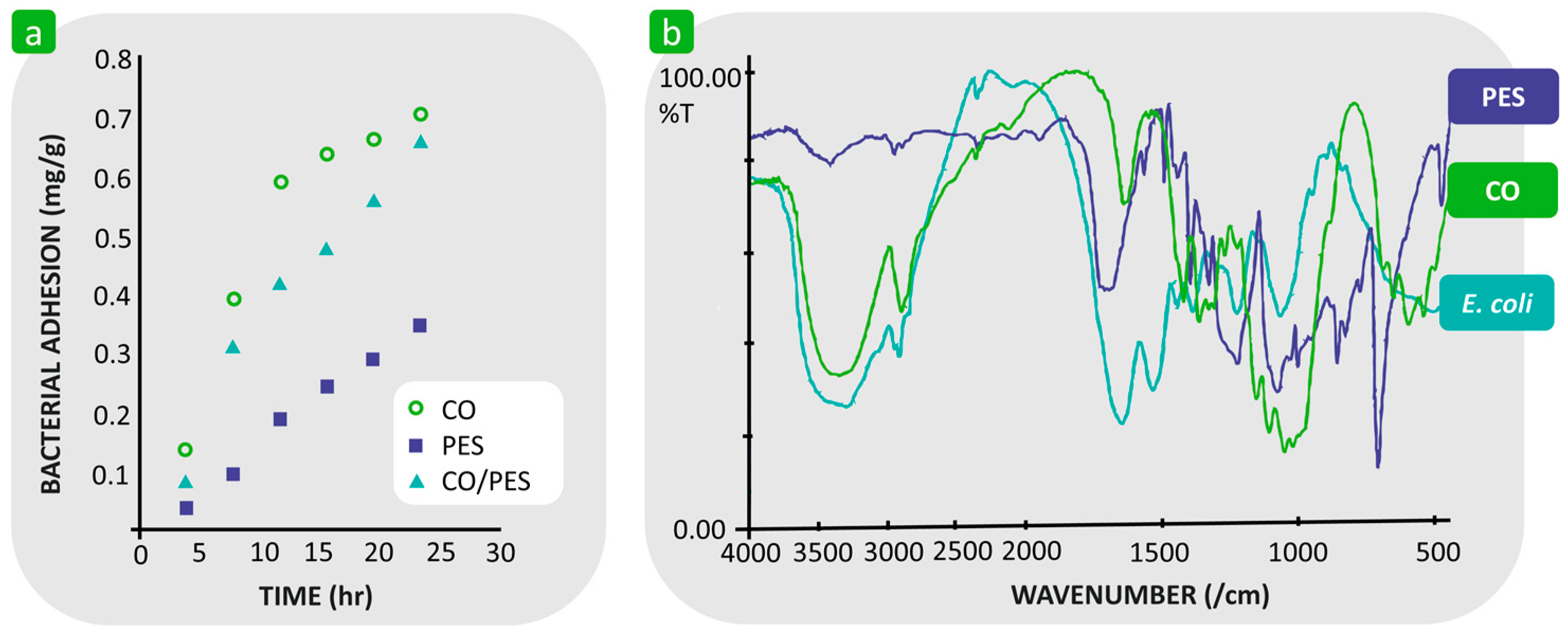 Polymers 16 02409 g011