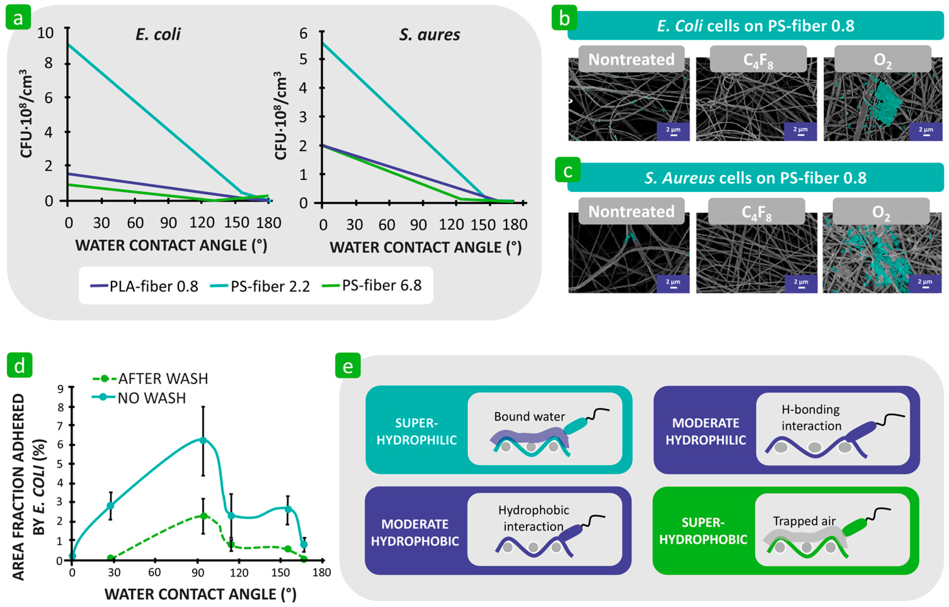 Polymers 16 02409 g012