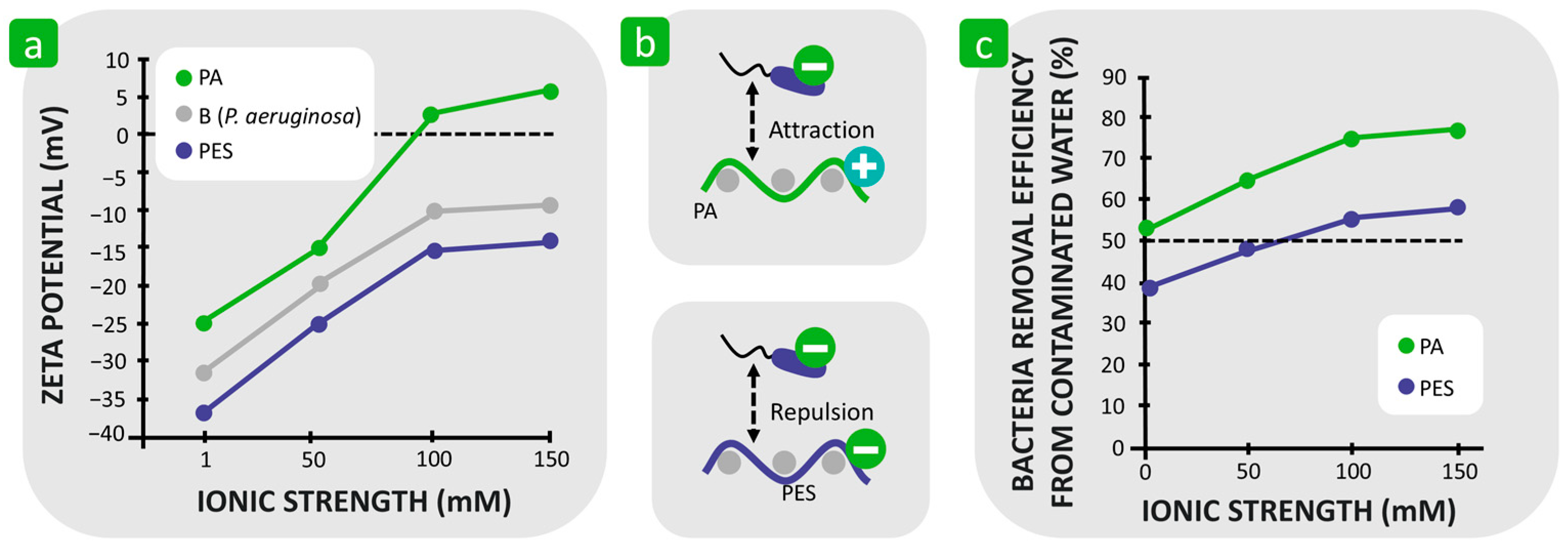 Polymers 16 02409 g013