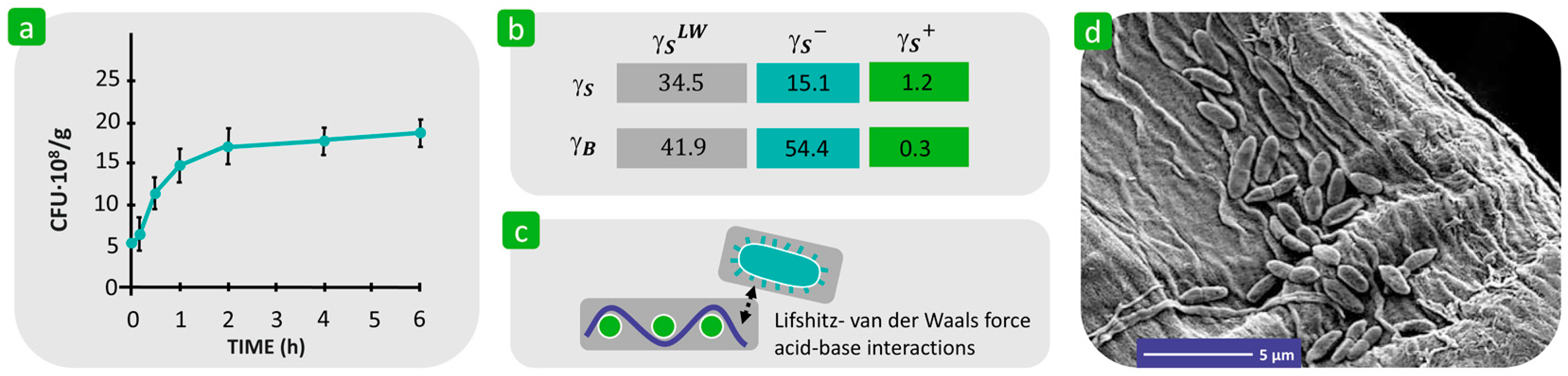 Polymers 16 02409 g014