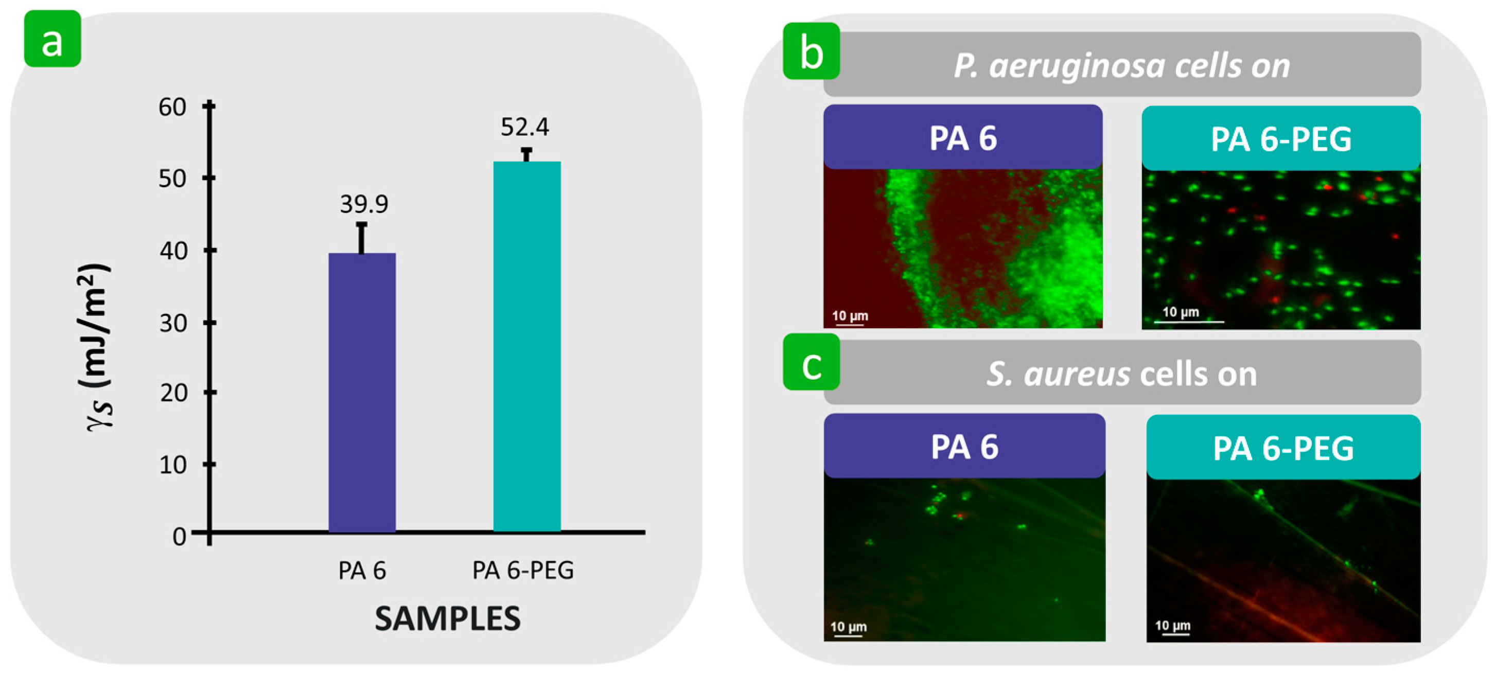 Polymers 16 02409 g015