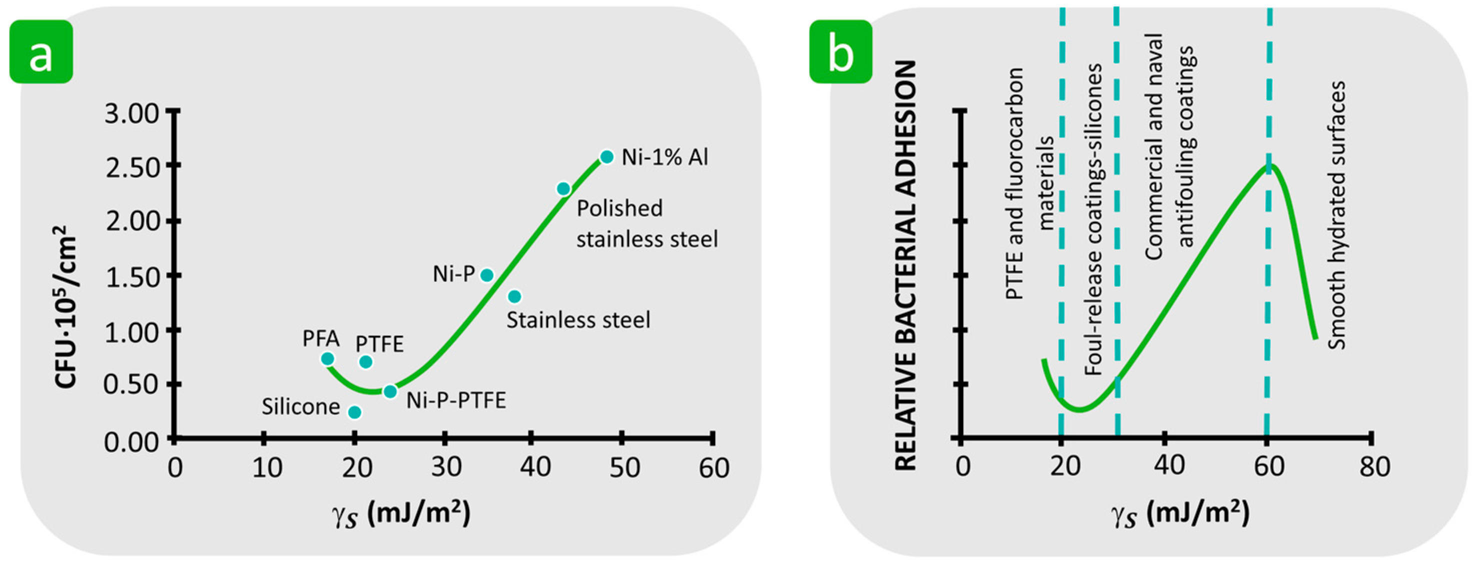 Polymers 16 02409 g016