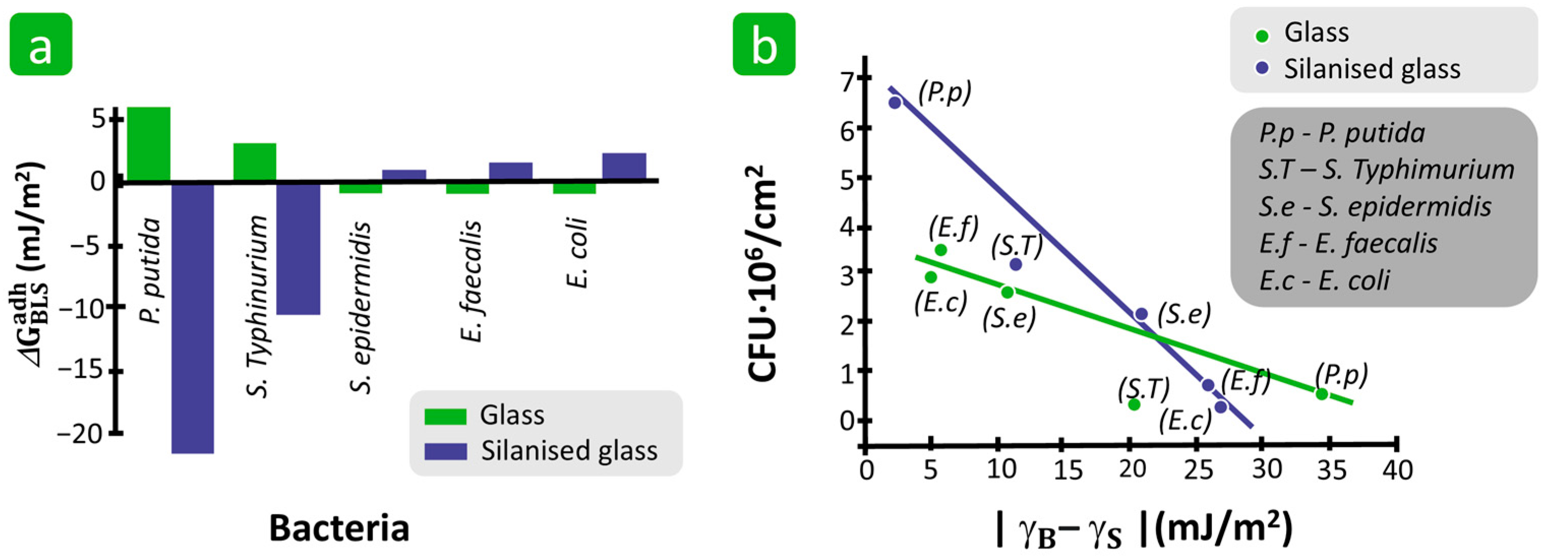 Polymers 16 02409 g017