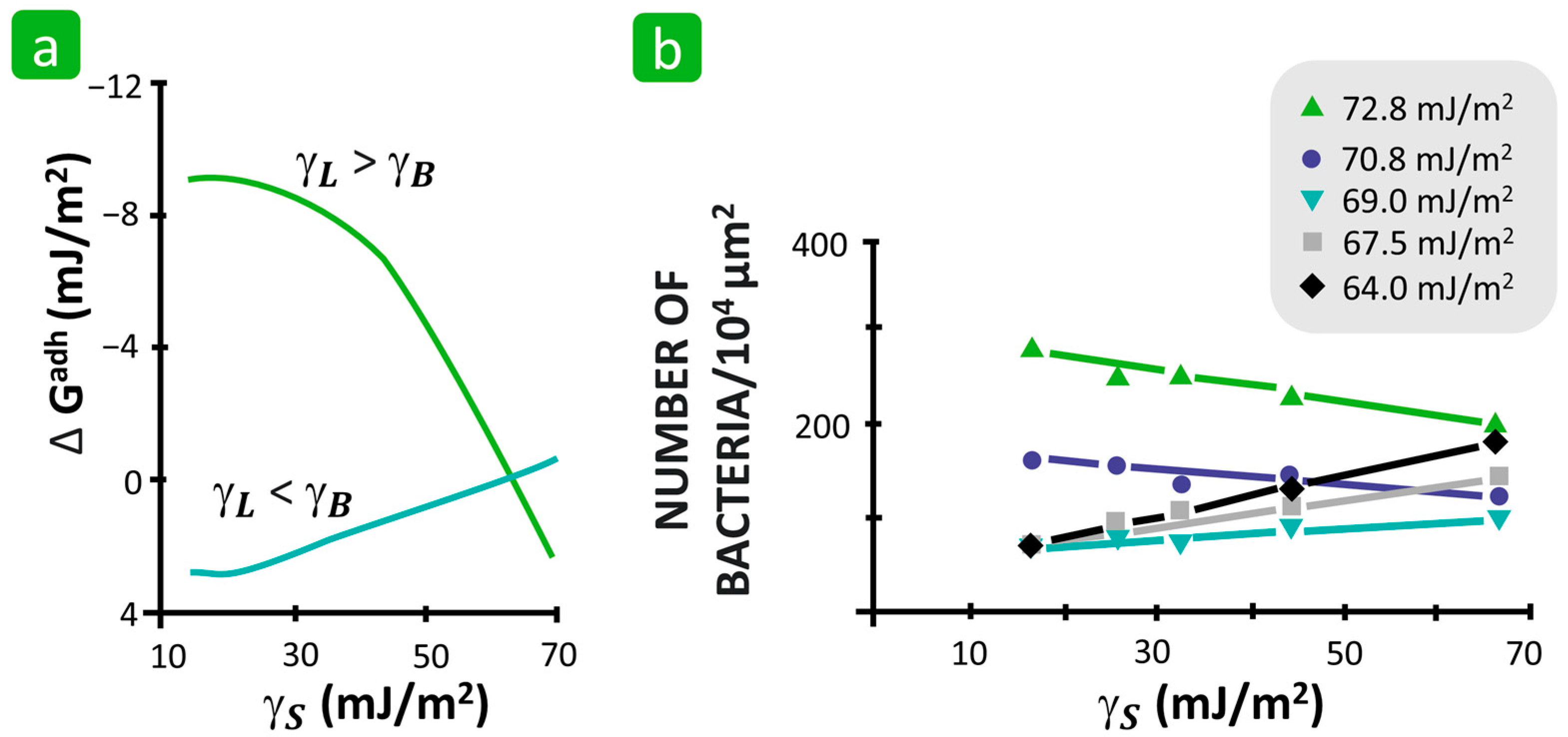 Polymers 16 02409 g018