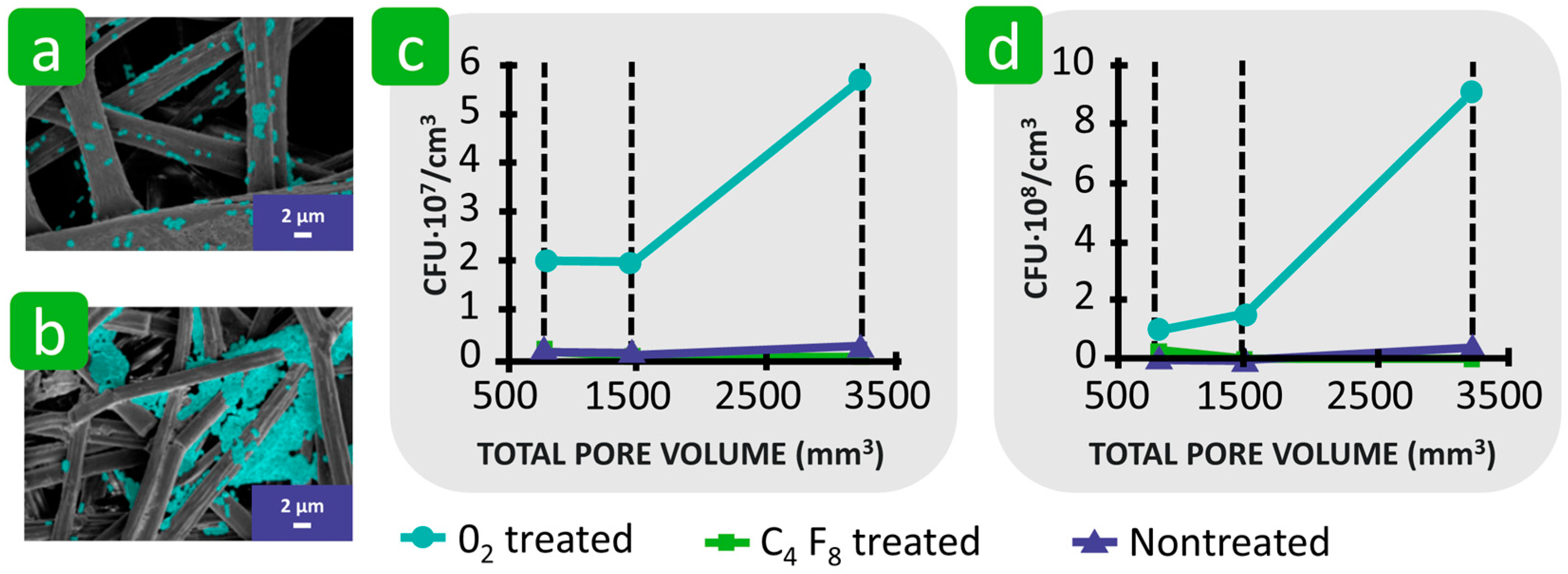Polymers 16 02409 g021