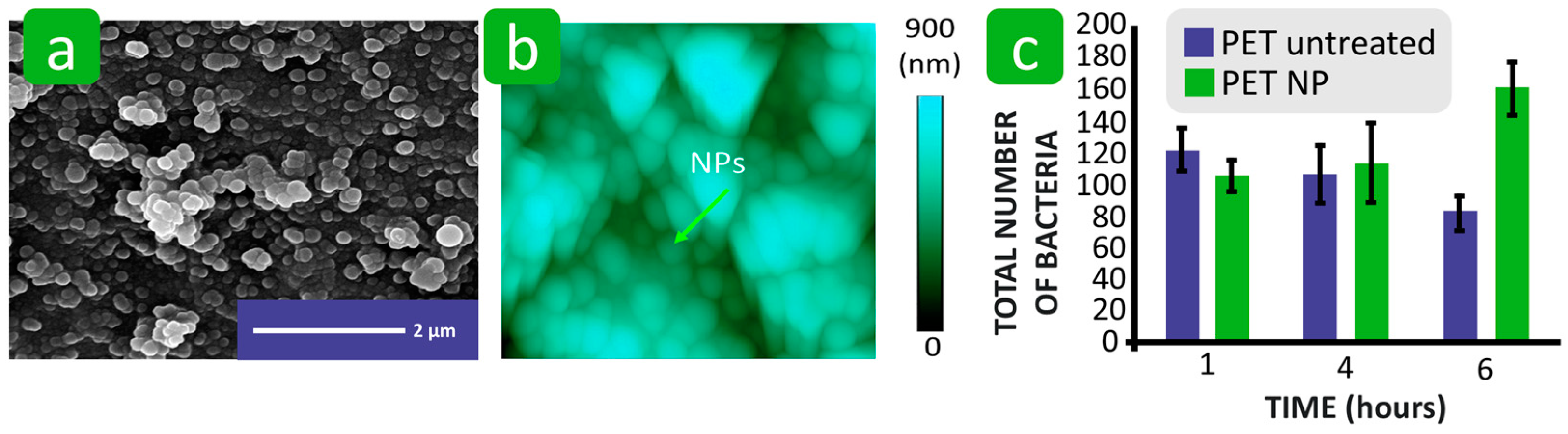 Polymers 16 02409 g022