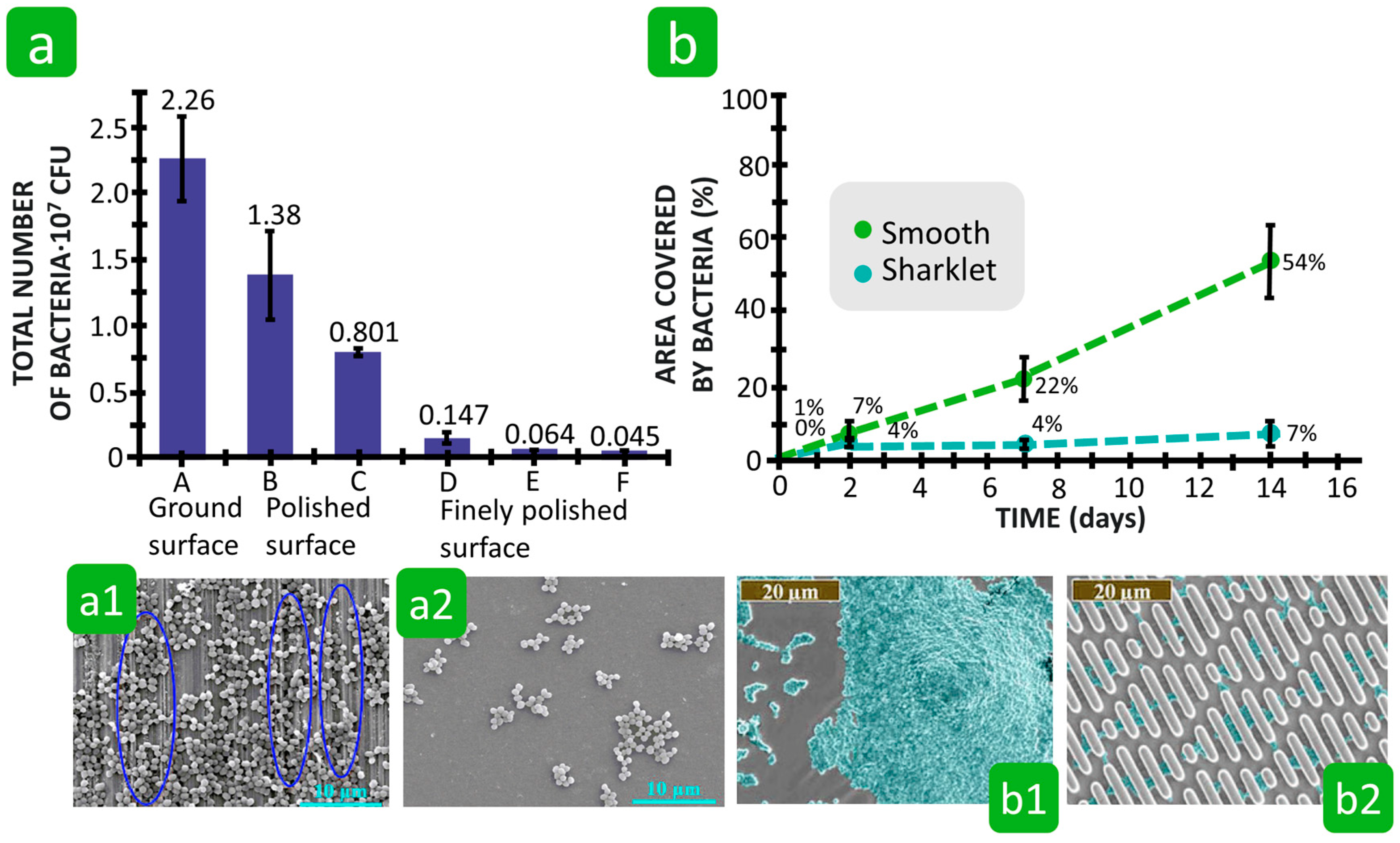 Polymers 16 02409 g023
