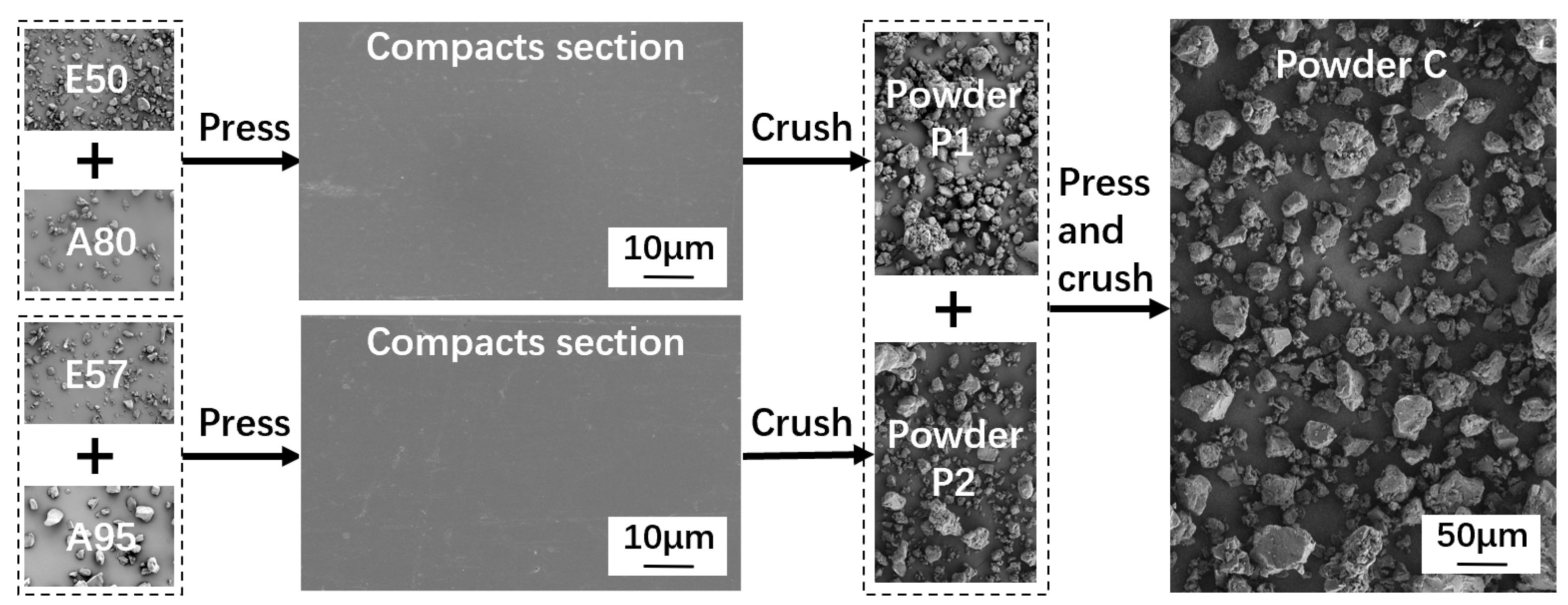 Polymers 16 02416 g002