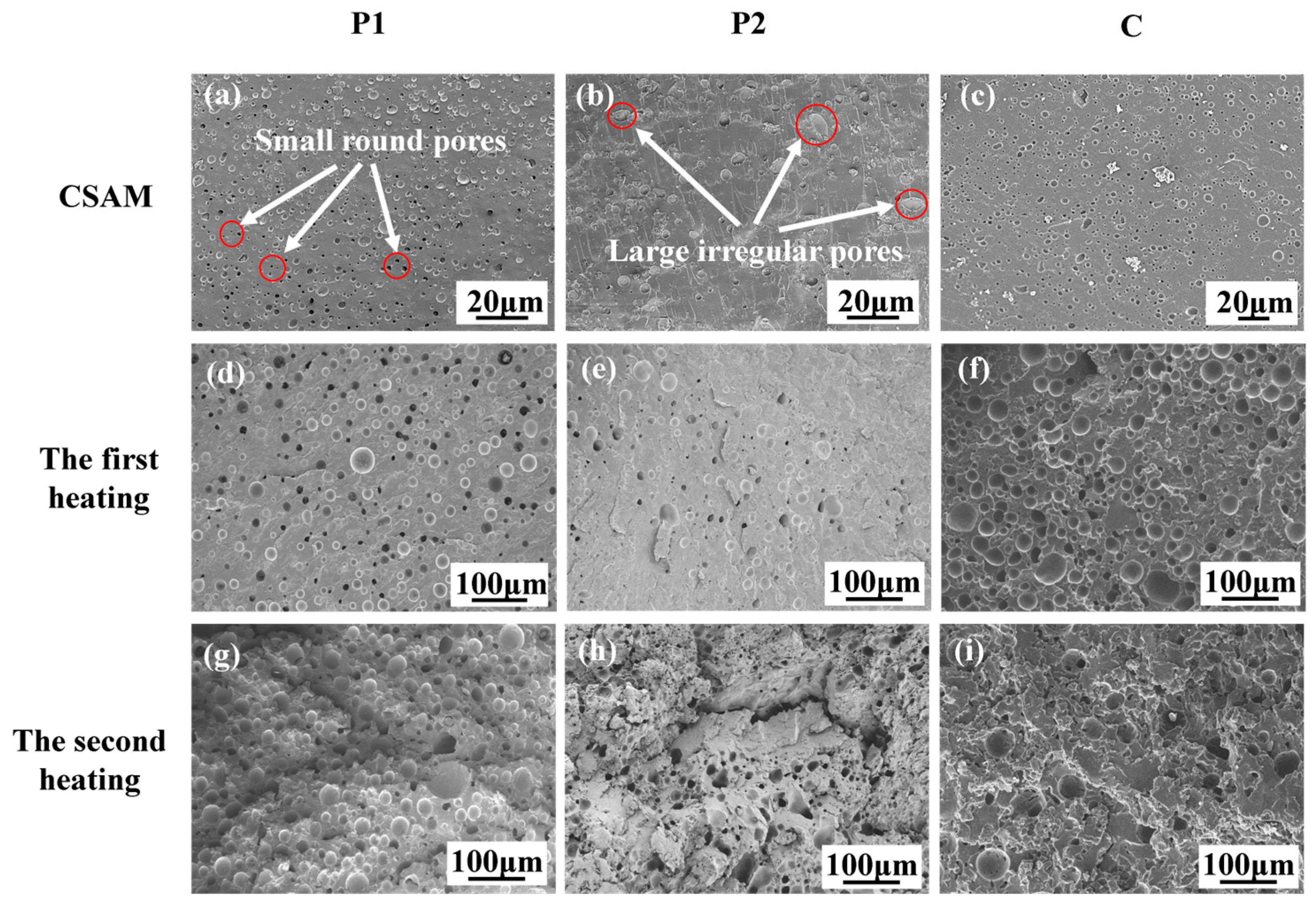 Polymers 16 02416 g010