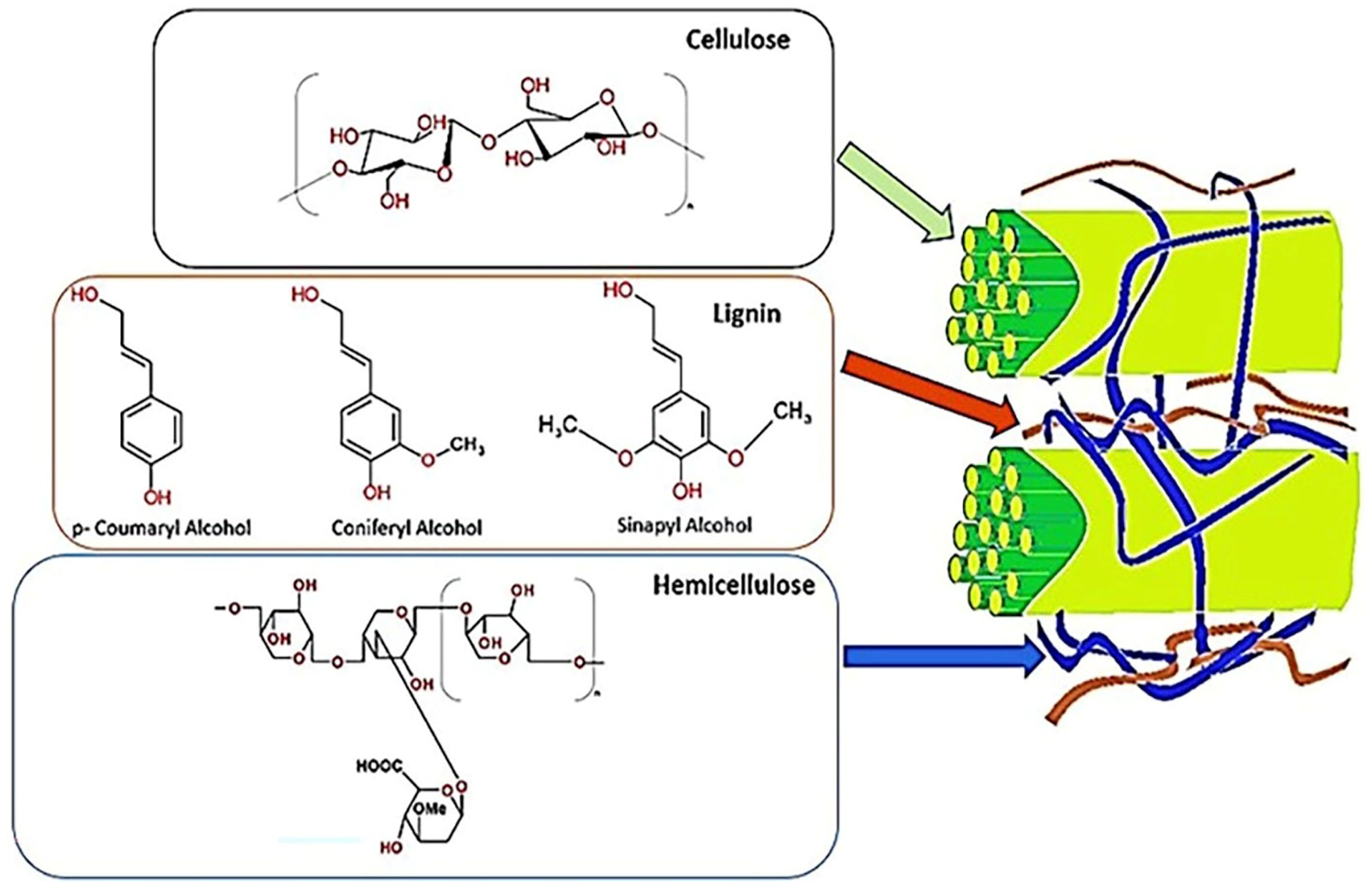Polymers 16 02417 g001