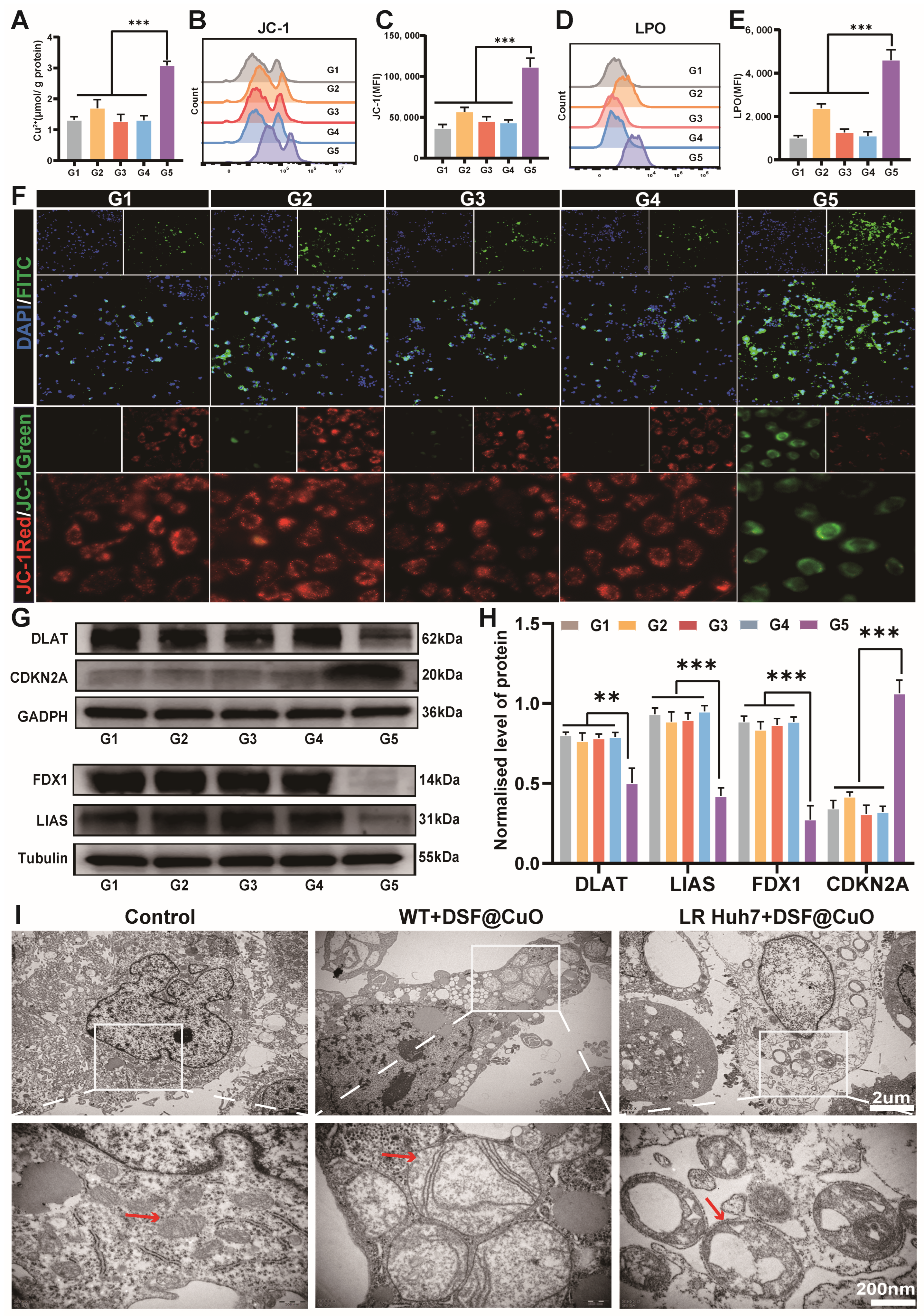 Polymers 16 02418 g003