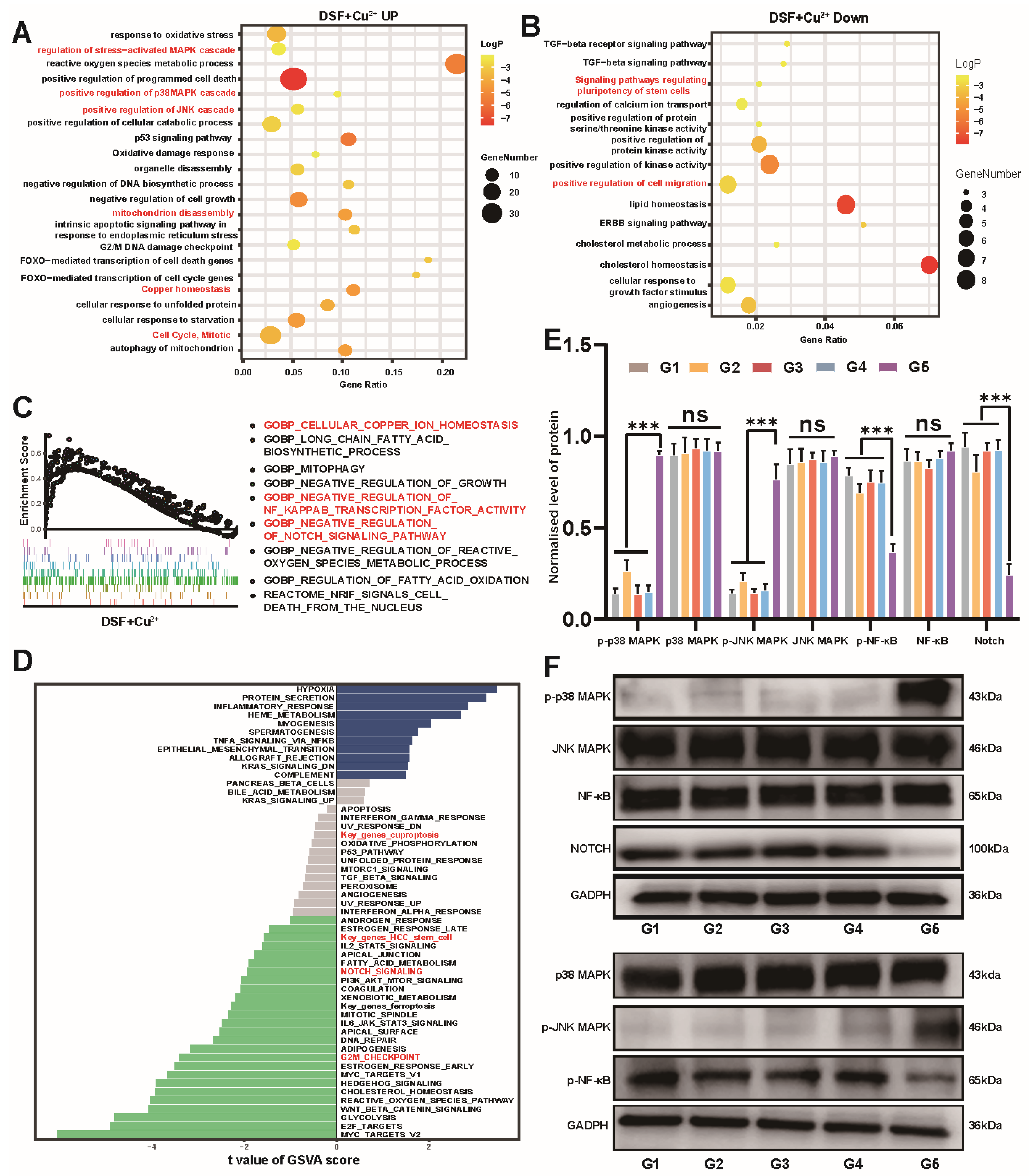 Polymers 16 02418 g005