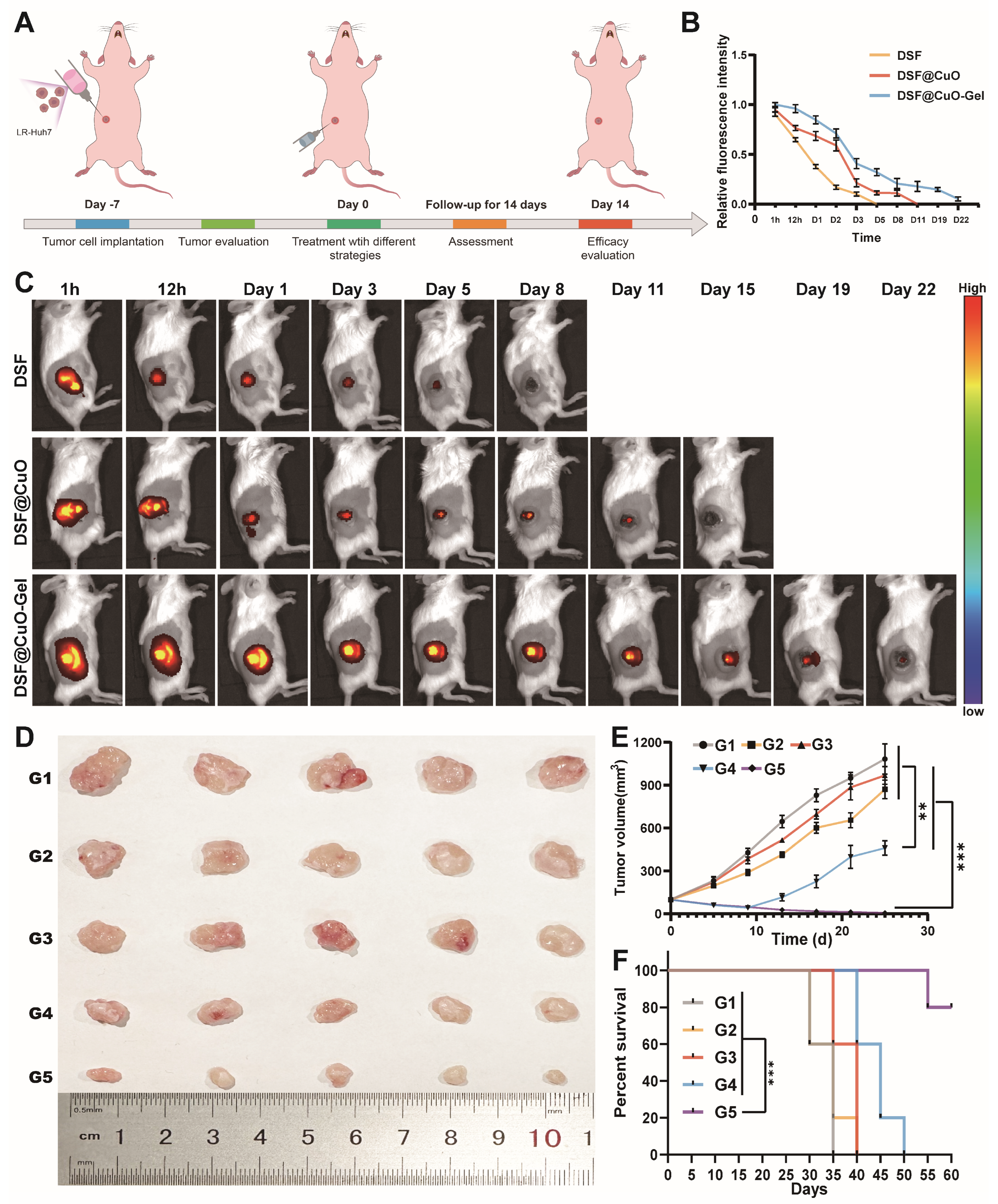 Polymers 16 02418 g006