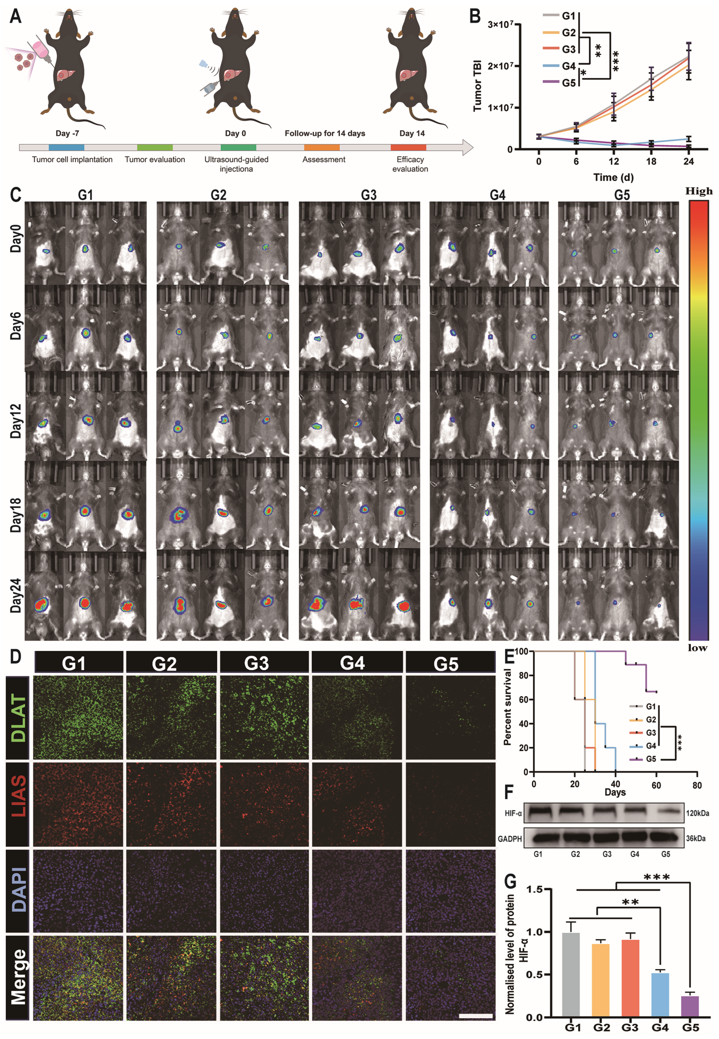 Polymers 16 02418 g007