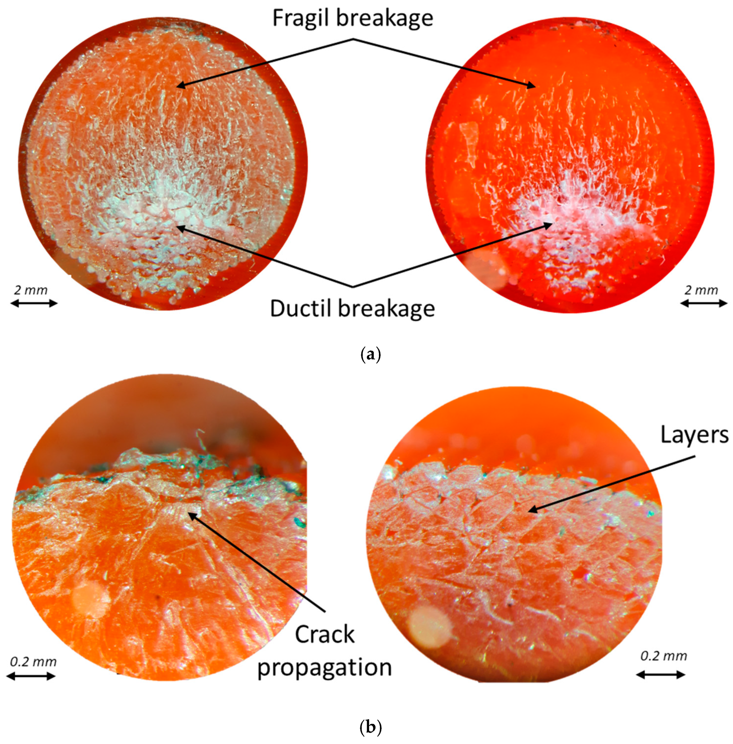 Polymers 16 02422 g014