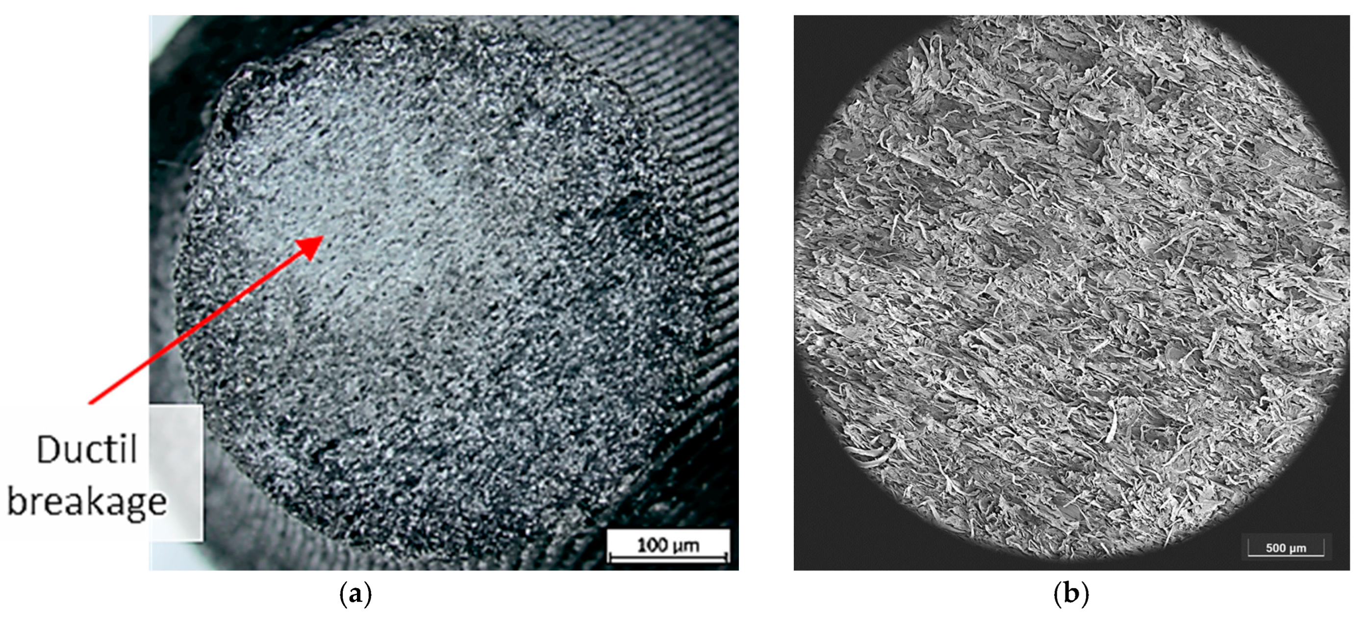 Polymers 16 02422 g016a