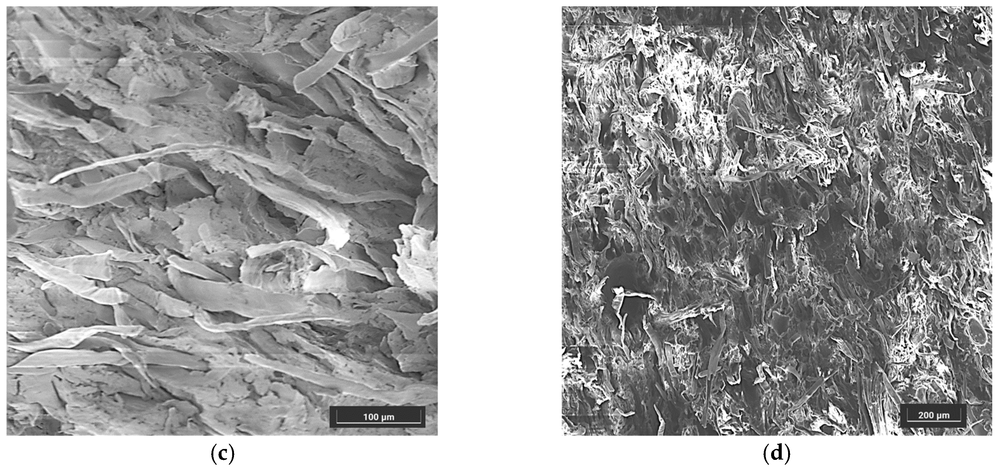 Polymers 16 02422 g016b